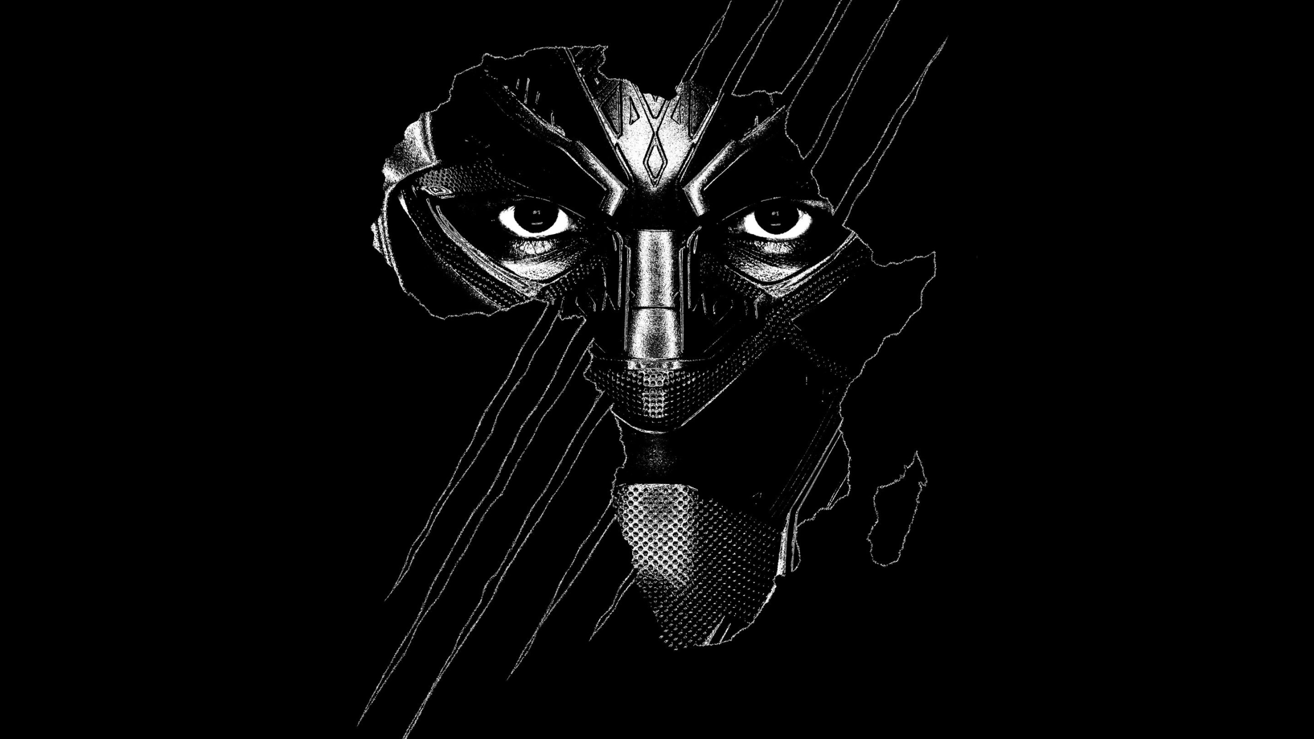 2021 Black  Panther  Art Full HD 2K Wallpaper 
