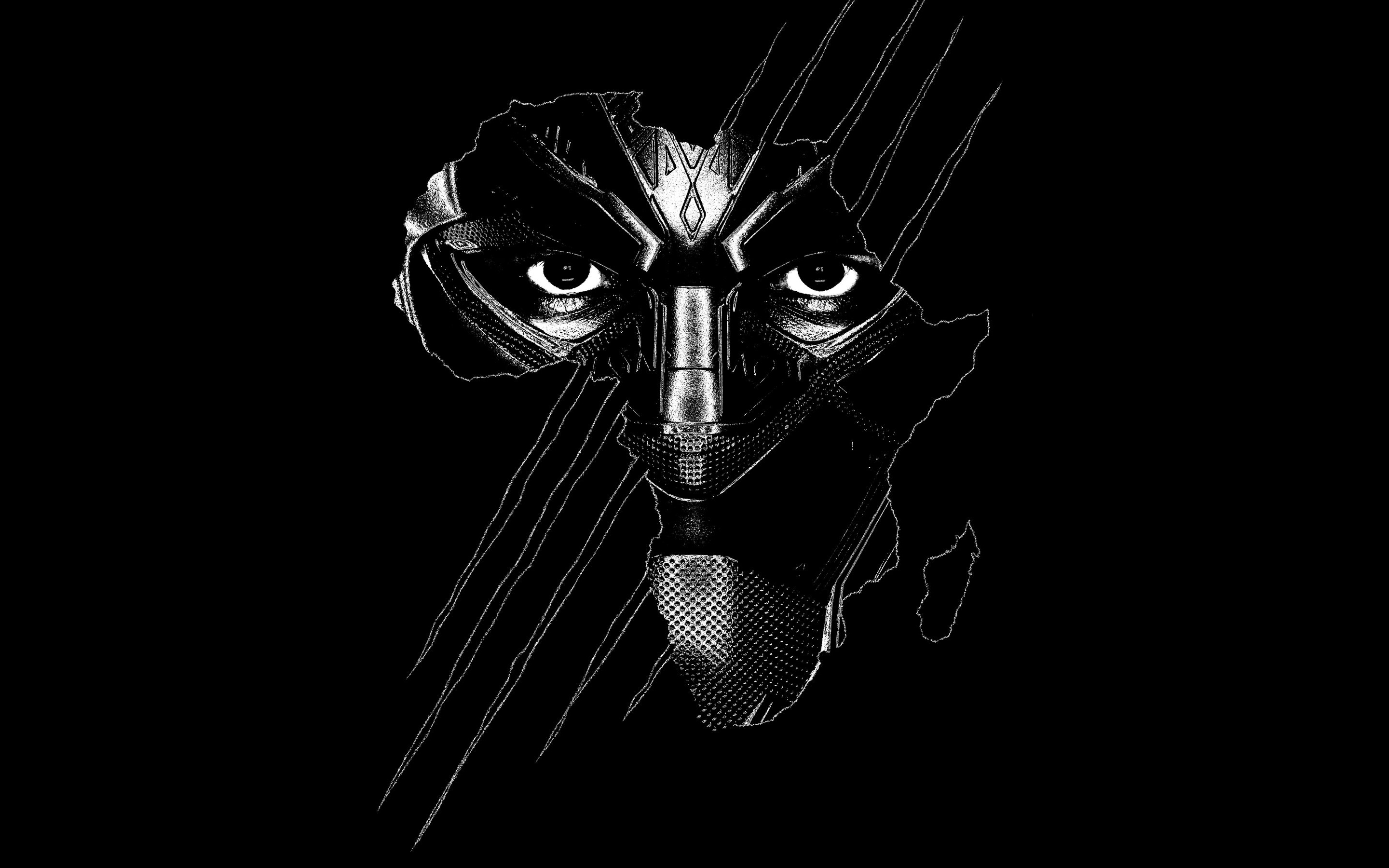 2021 Black  Panther  Art Full HD  2K Wallpaper 