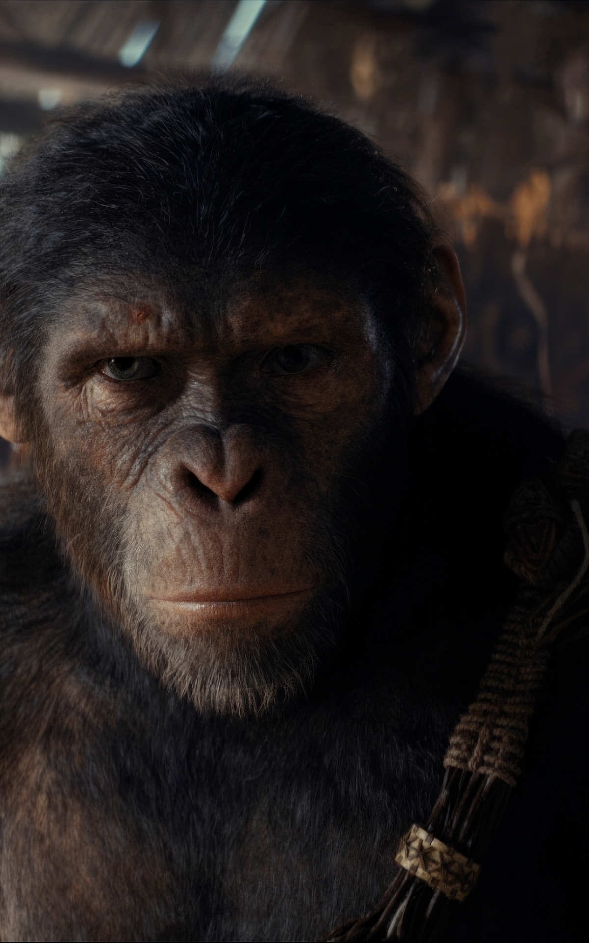 1200x1920 Resolution 2024 Kingdom of the of the Apes Movie