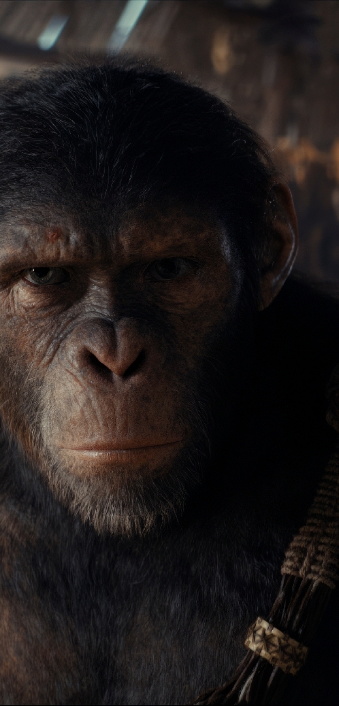 1080x2248 Resolution 2024 Kingdom of the of the Apes Movie