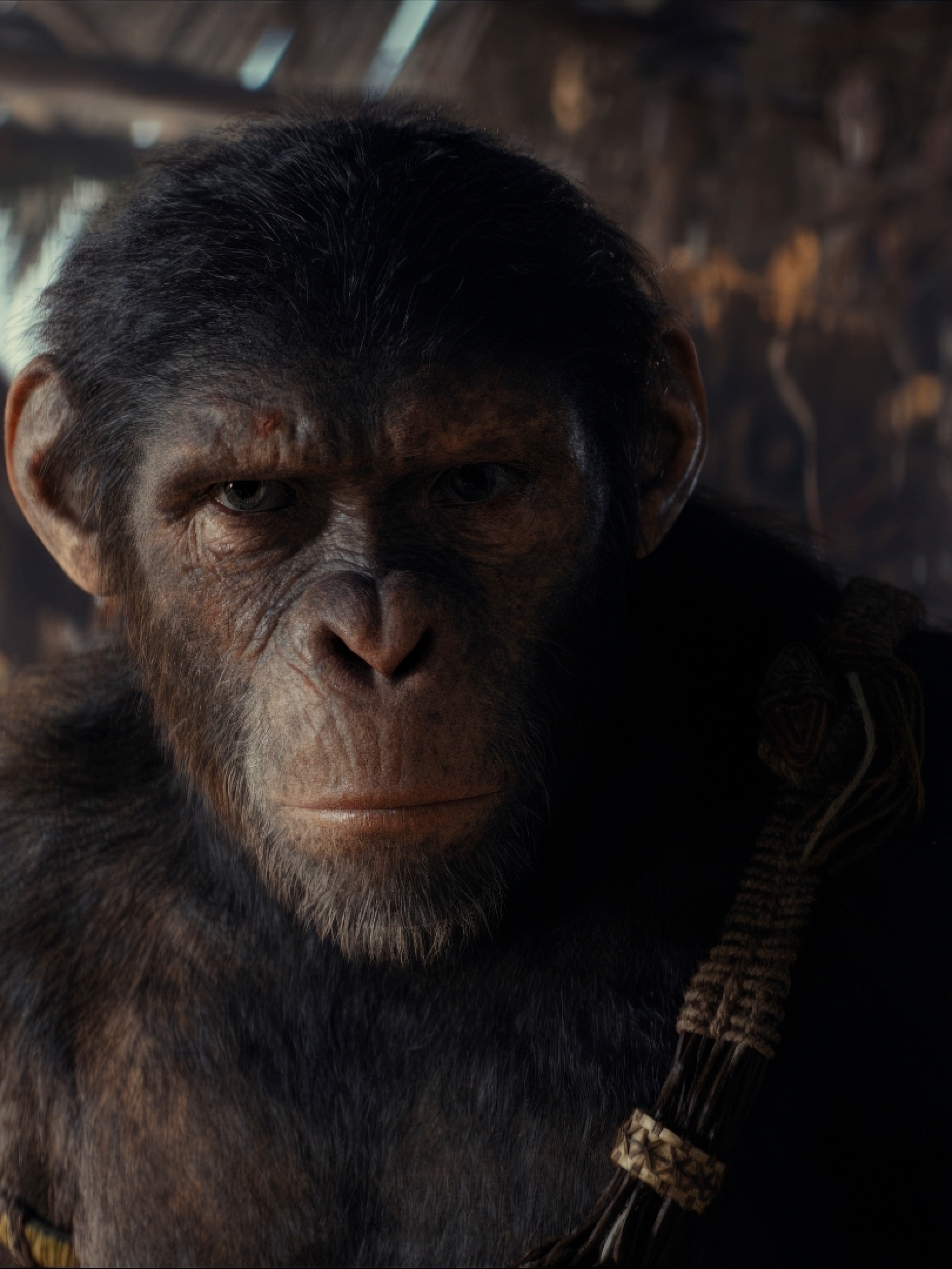 1620x2160 Resolution 2024 Kingdom of the of the Apes Movie