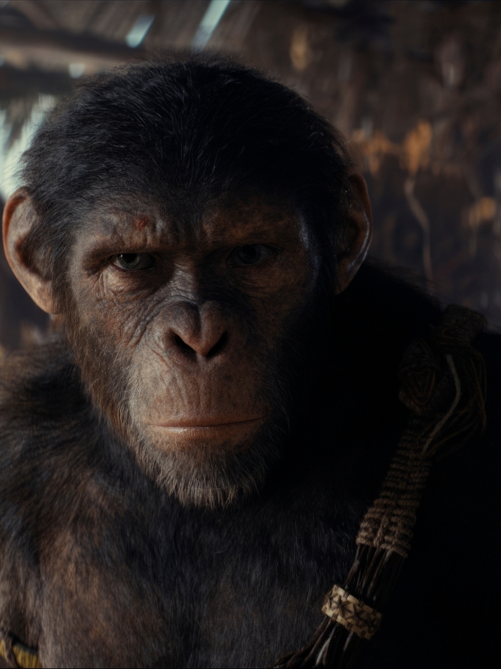 1650x2200 Resolution 2024 Kingdom of the of the Apes Movie