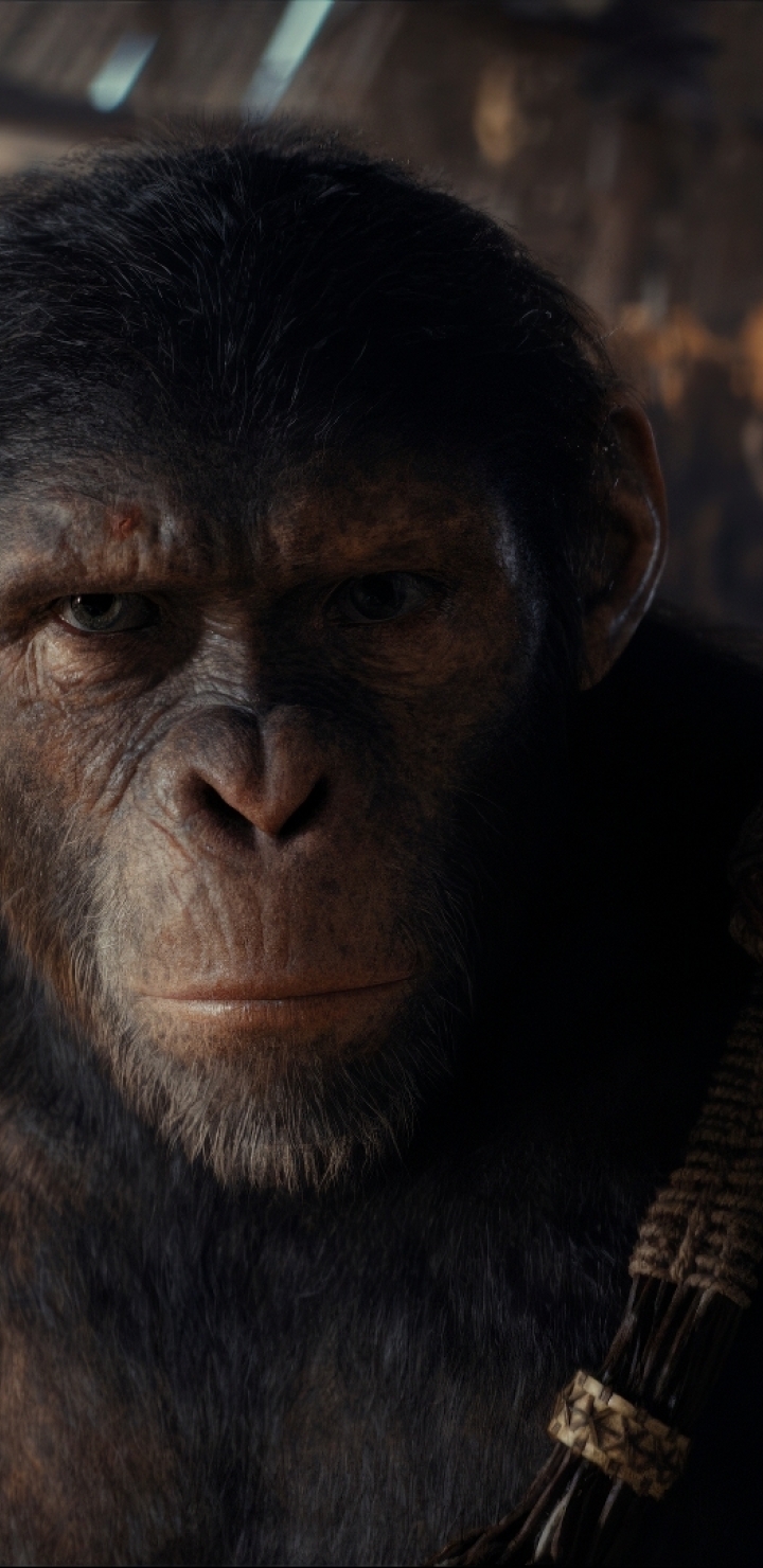 720x1480 Resolution 2024 Kingdom of the of the Apes Movie