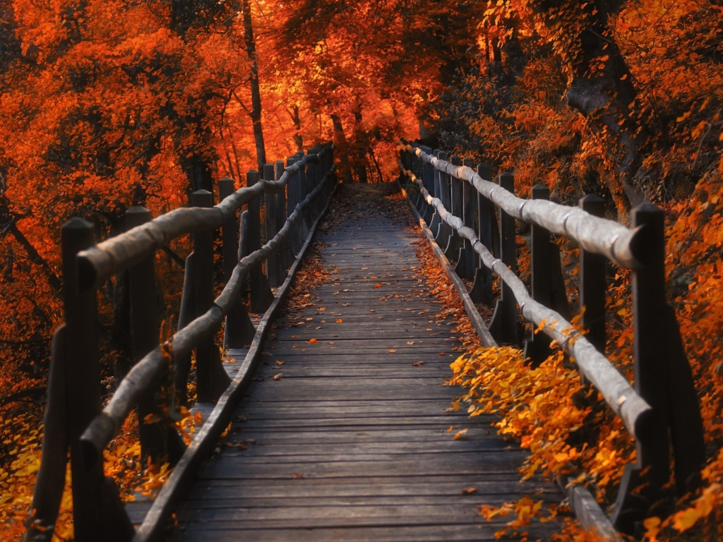 1024x768 A Bridge in Autumn Season 1024x768 Resolution Wallpaper, HD