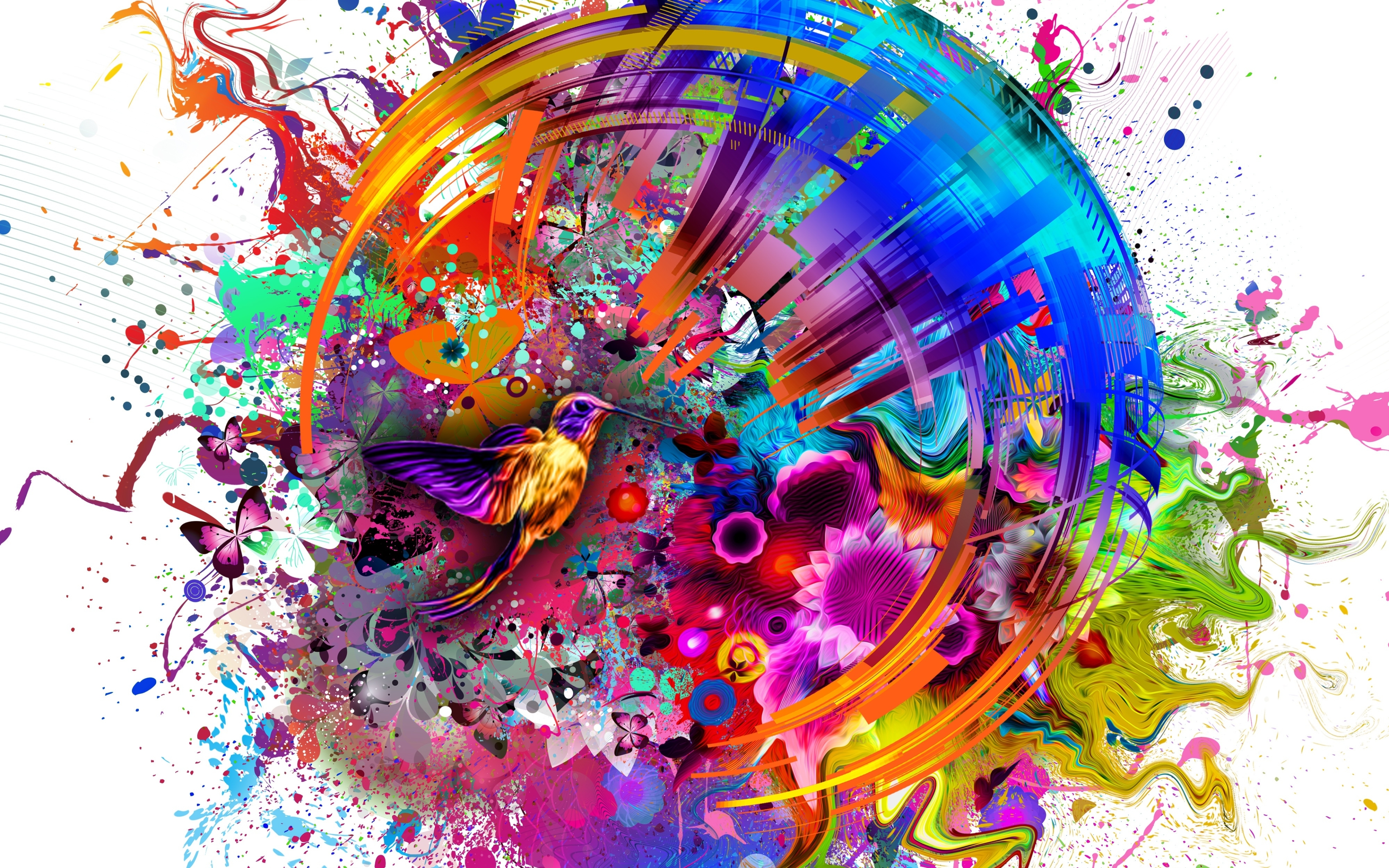Abstract Colors Flashy Bird Hd 4k Wallpaper