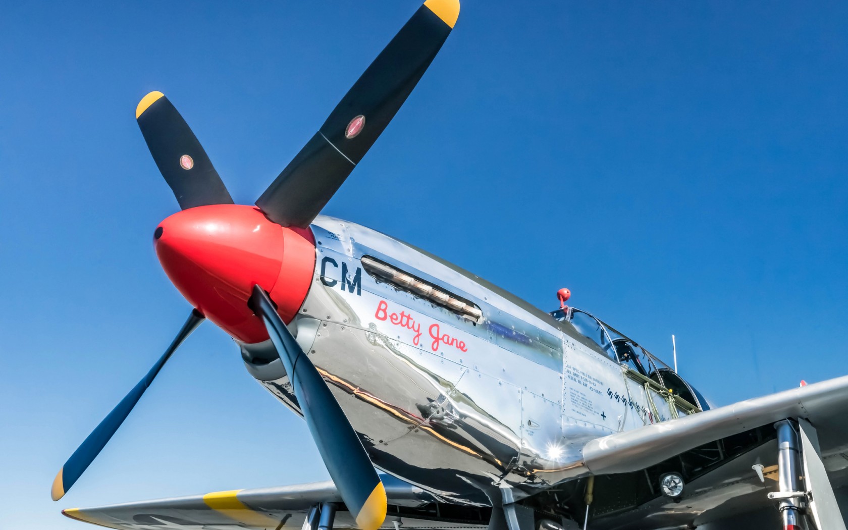 P 51 Mustang Pictures  Download Free Images on Unsplash