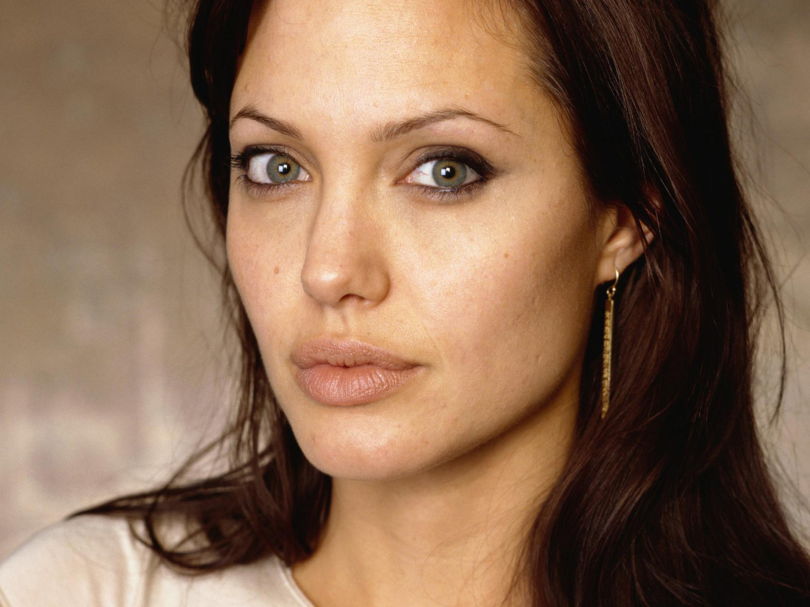 Знаменитости 25. Анджелина Джоли. Анджелина Джоли анфас. Jolie Angelina 2003. Анджелина Джоли Войт.