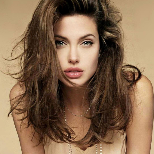 512x512 Angelina Jolie Pretty Hd Wallpapers 512x512 Resolution Wallpaper Hd Celebrities 4k