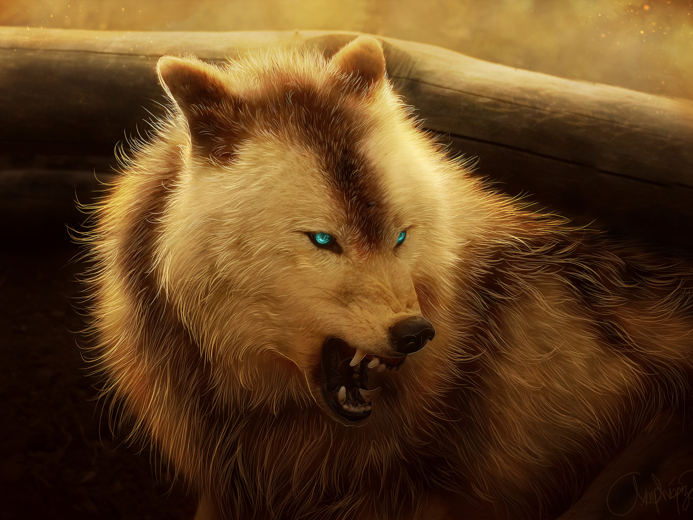 Angry Wolf, HD 4K Wallpaper