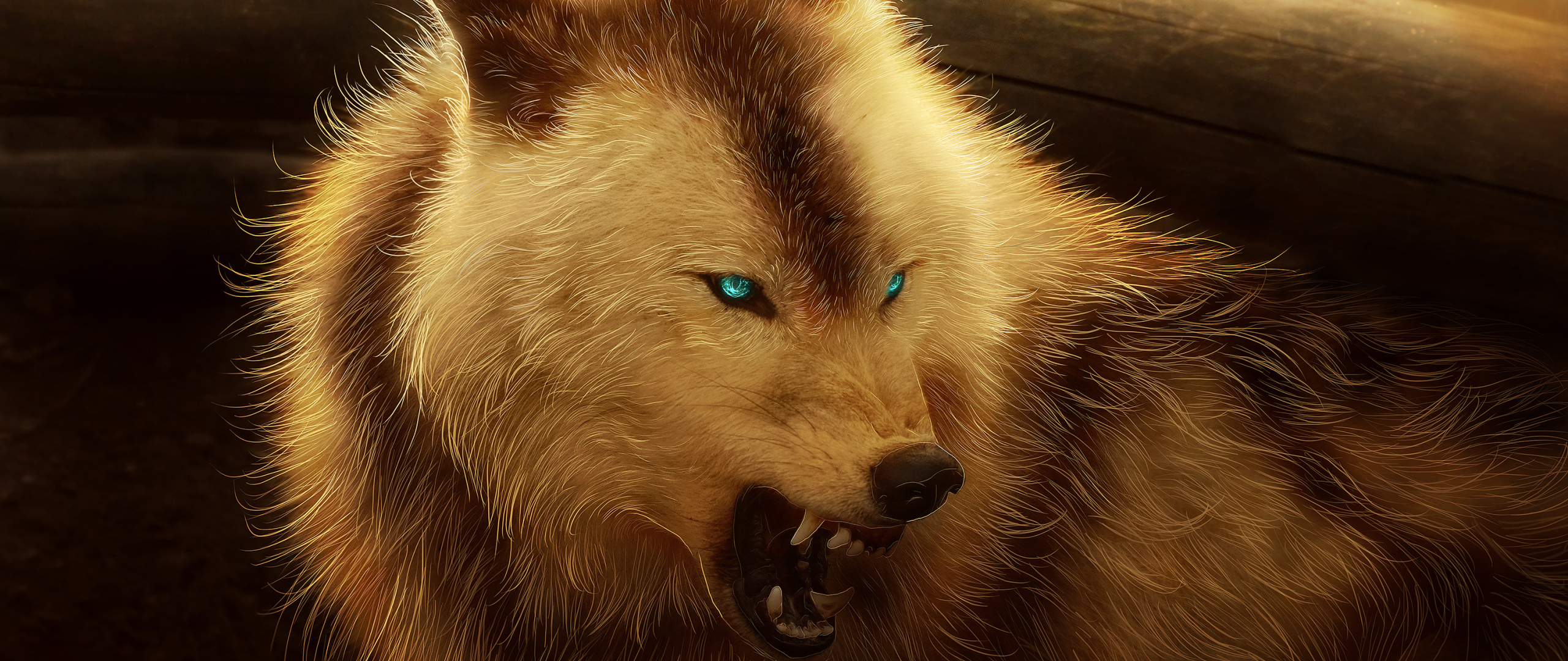Angry Wolf, HD 4K Wallpaper
