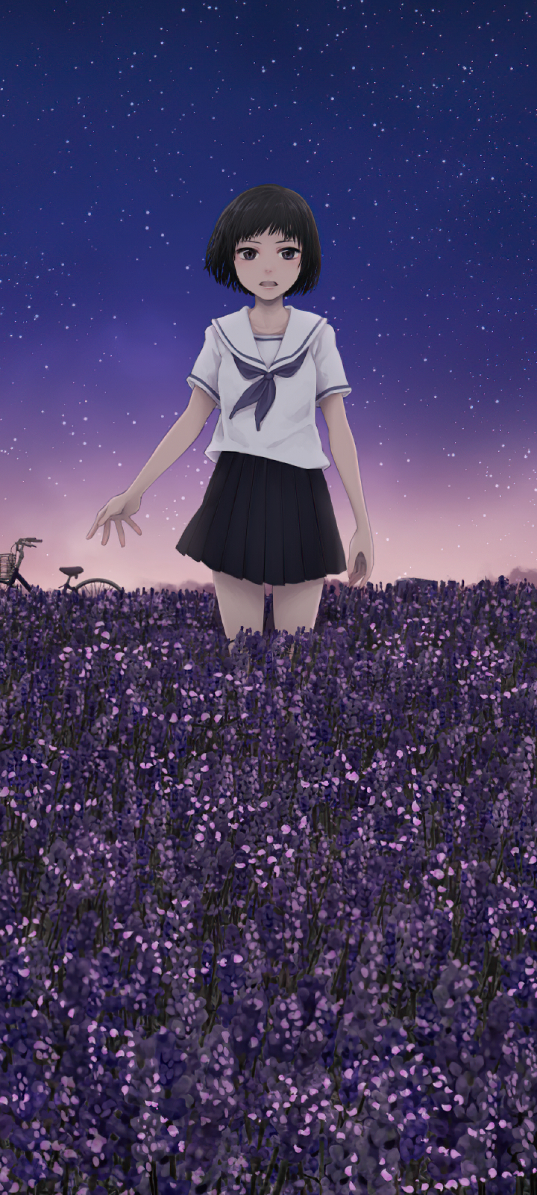 1080x2400 Anime Girl In Field 1080x2400 Resolution ...
