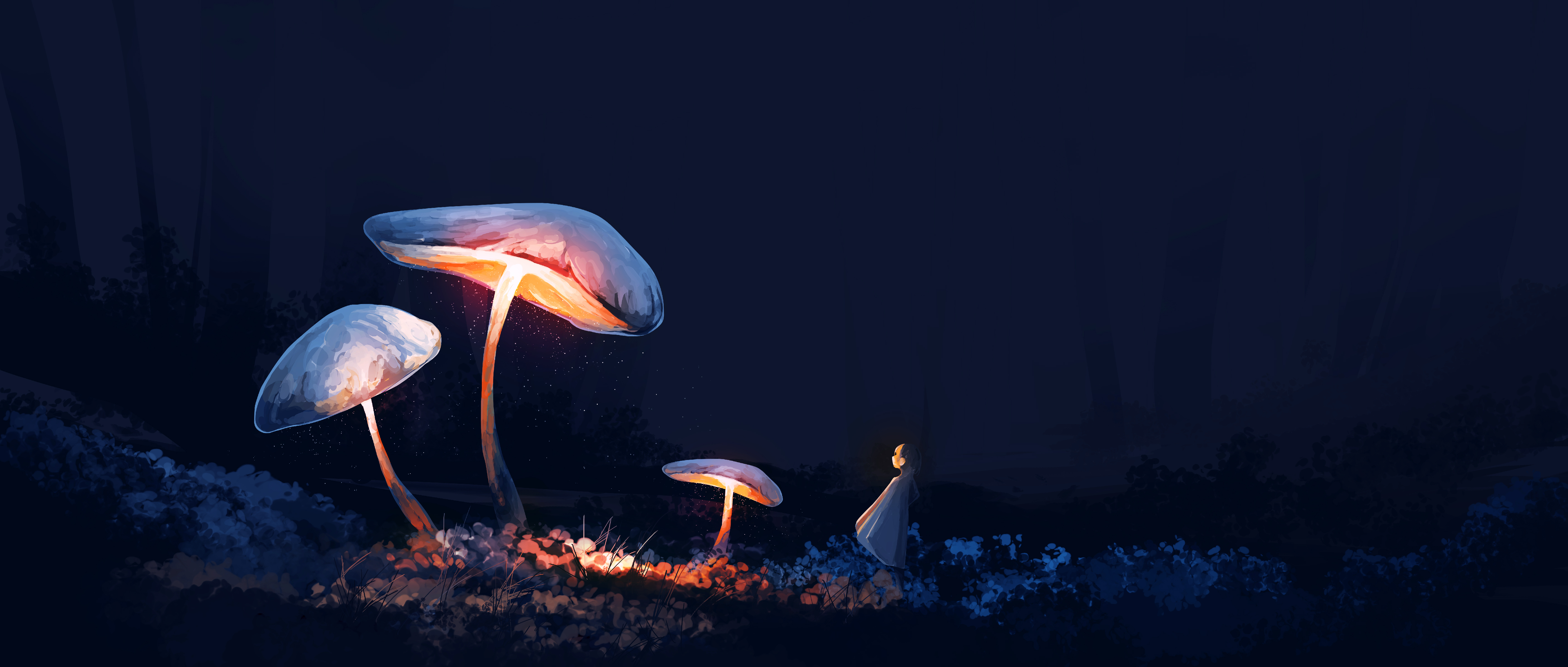 Cute Mushroom Wallpaper Hd Desktop Mushrooms  照片图像