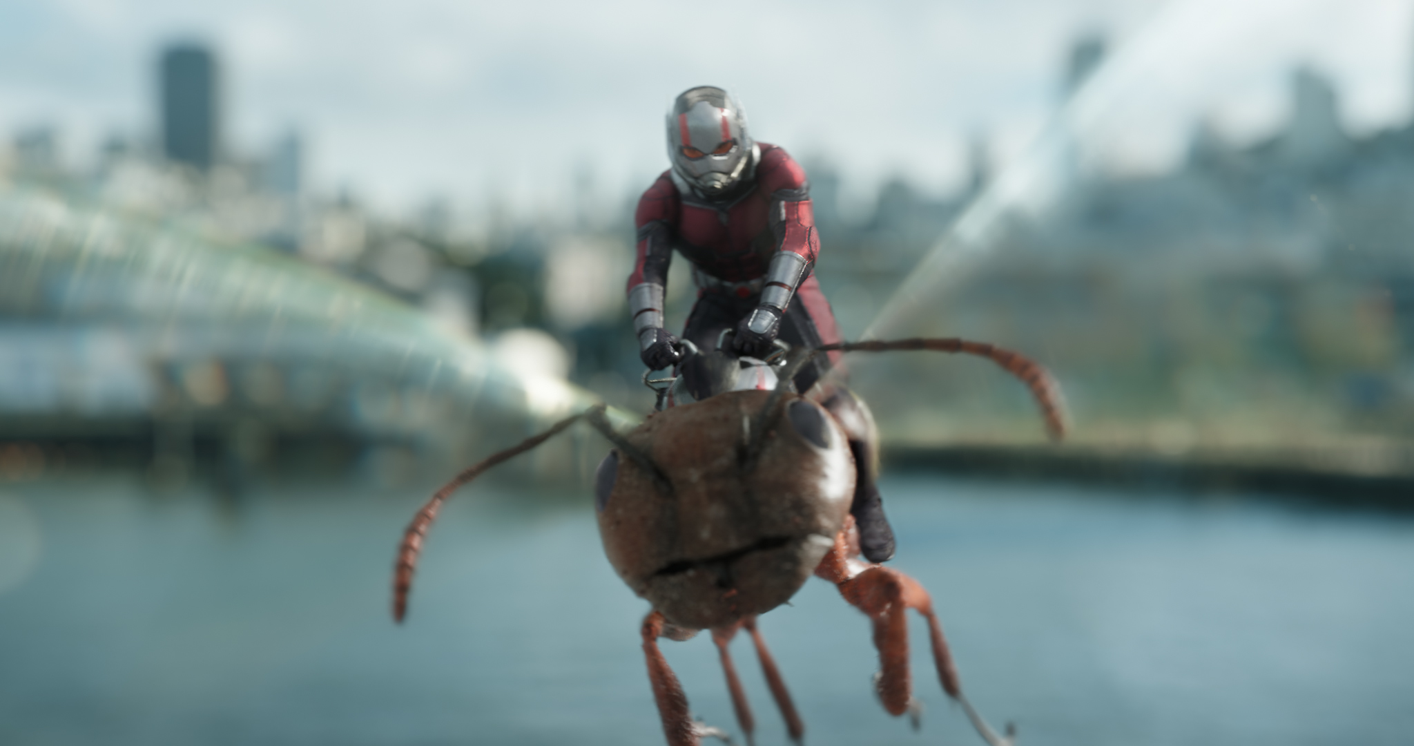 Ant Man Riding Ant In Ant Man And The Wasp Wallpaper Hd Movies 4k Wallpapers Images Photos
