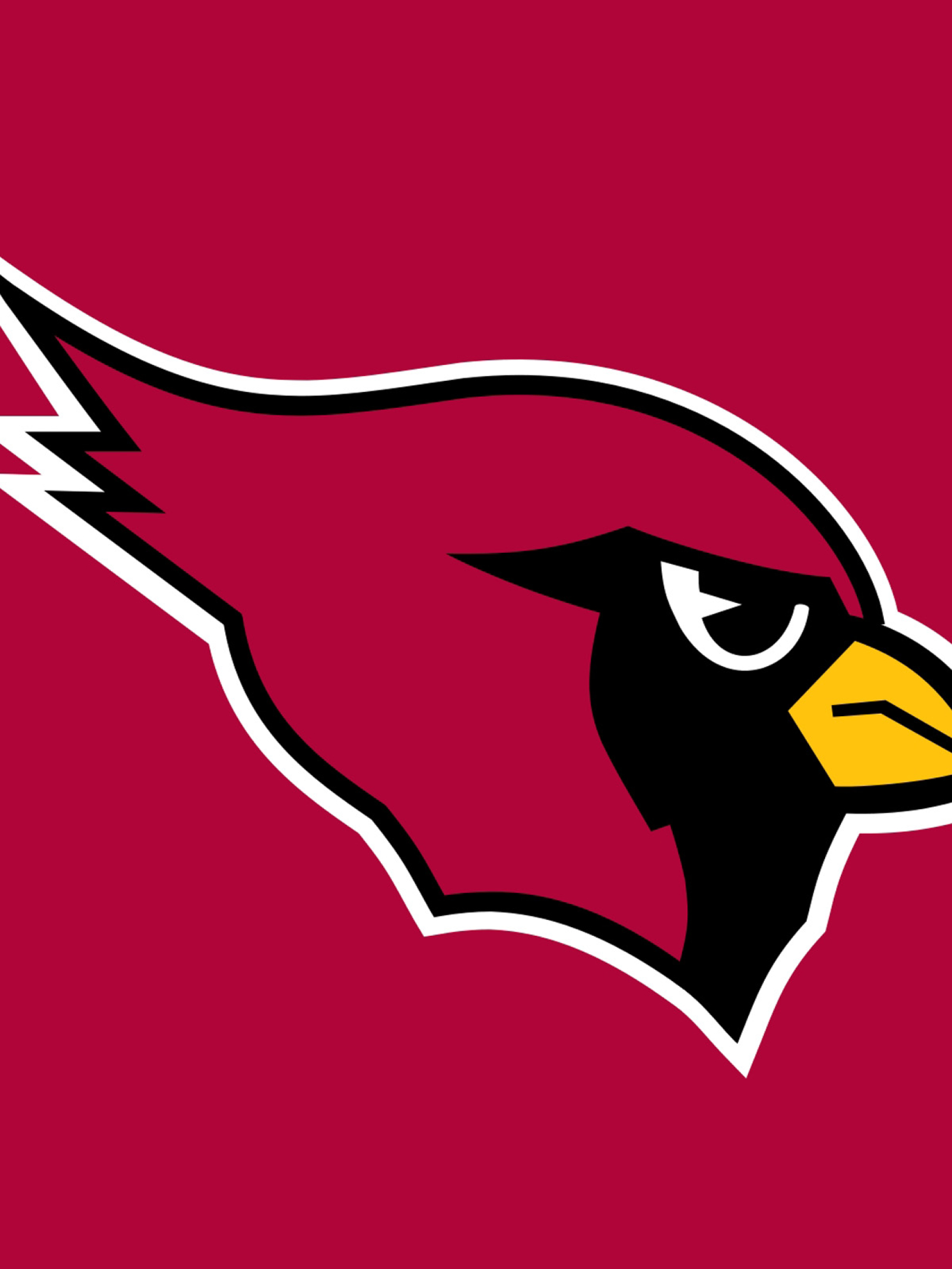 arizona cardinals roster