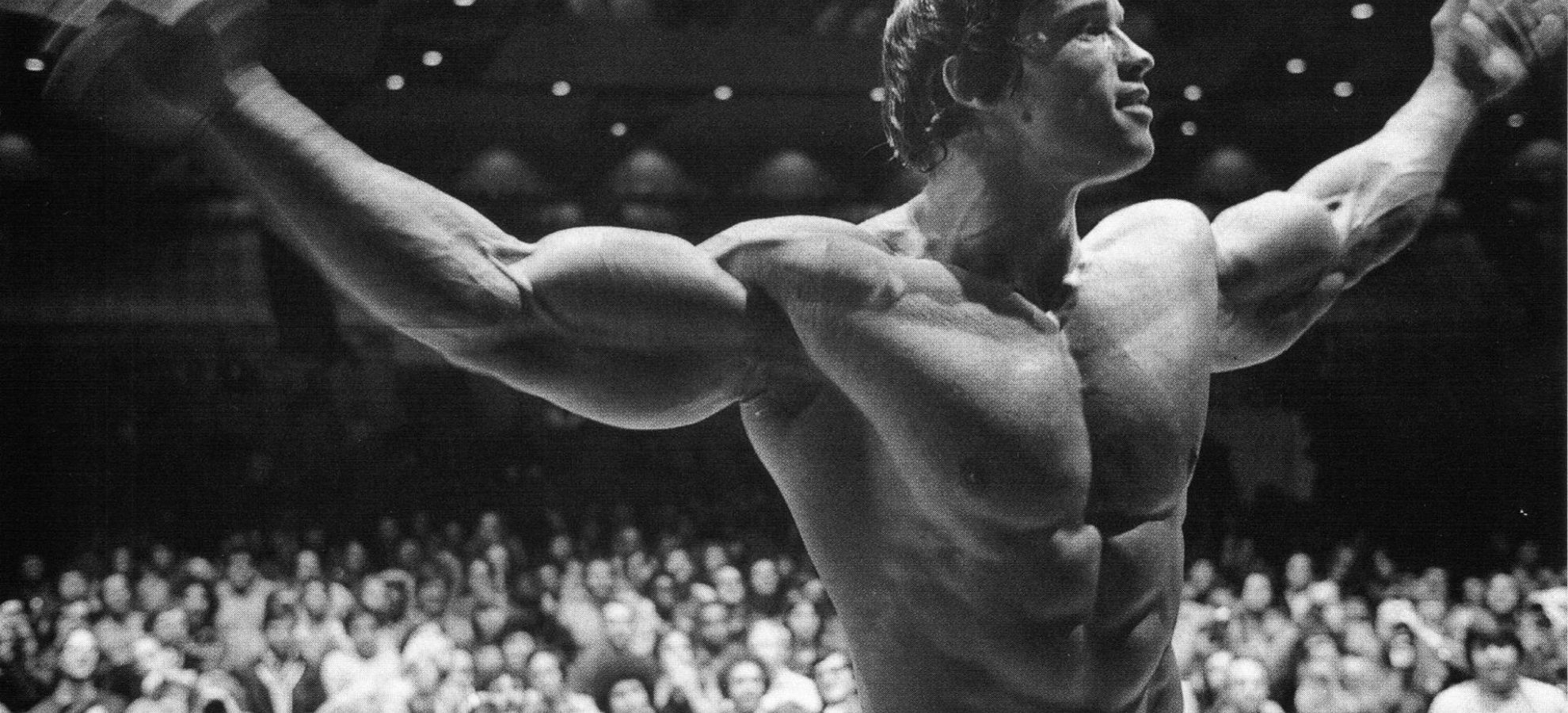 1980x900 Resolution Arnold Schwarzenegger Bodybuilding Poster 1980x900 ...