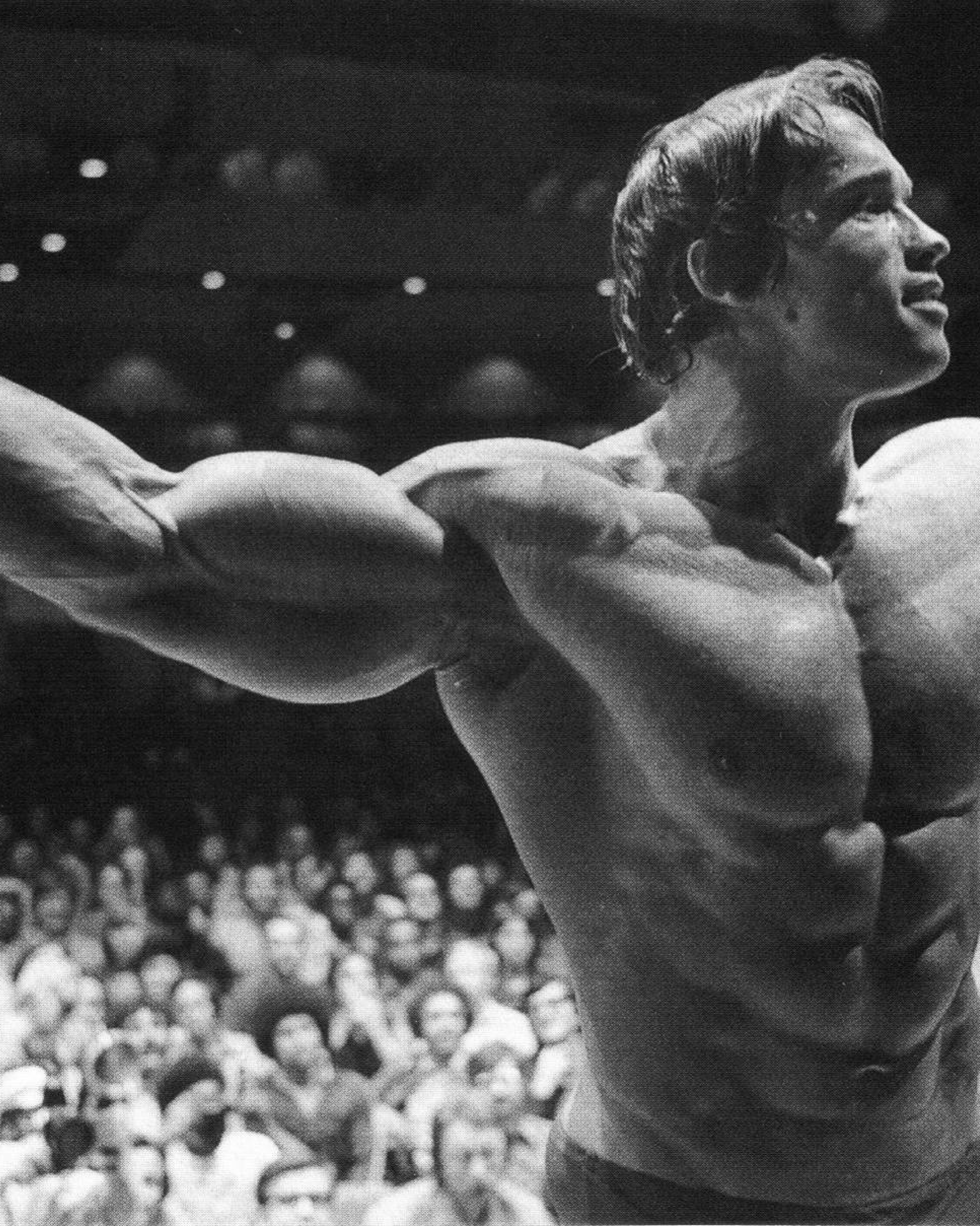4000x5000 Resolution Arnold Schwarzenegger Bodybuilding Poster ...