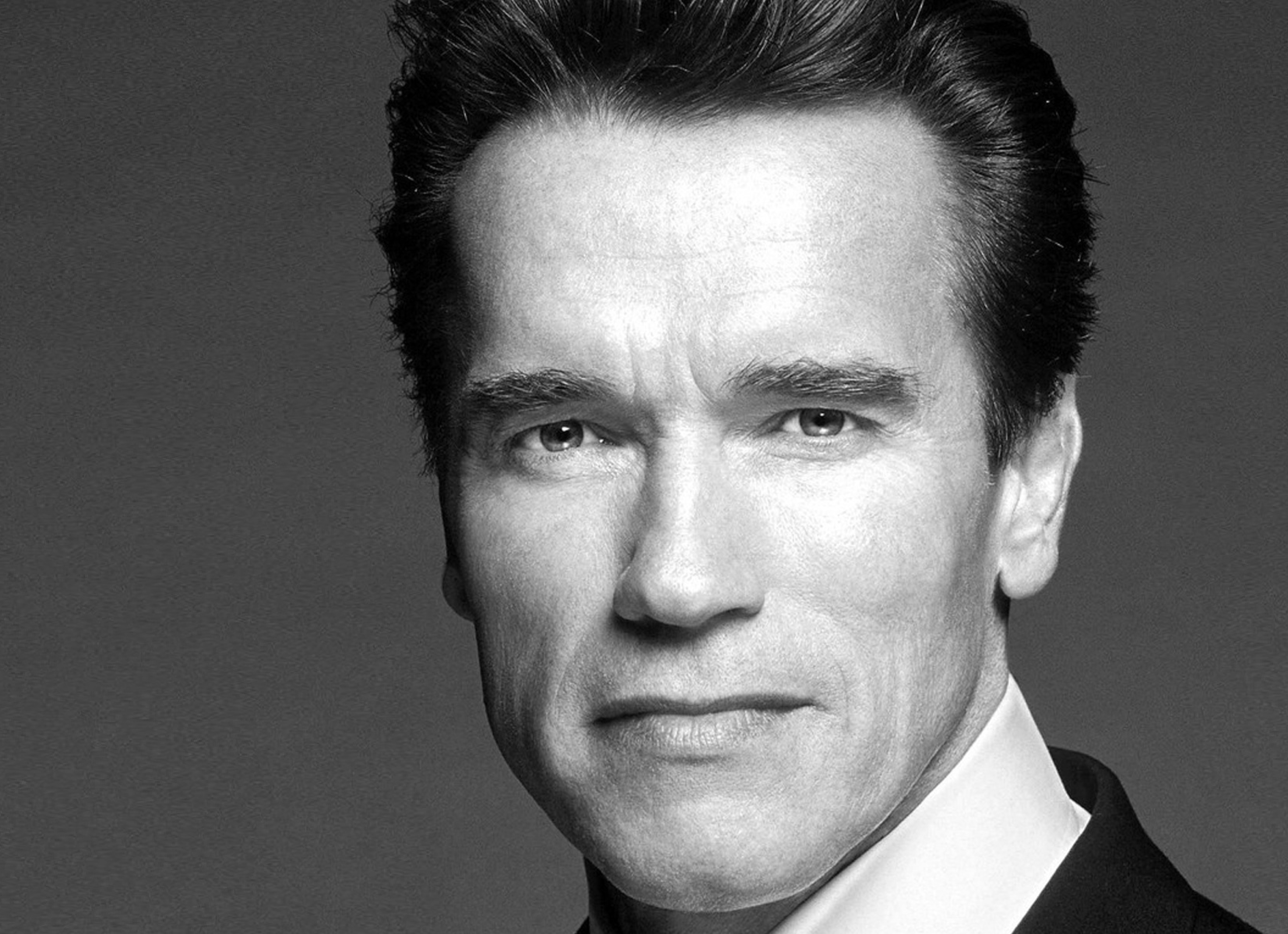 Арни певец. Arnold Schwarzenegger portrait. Арни Джонсон.