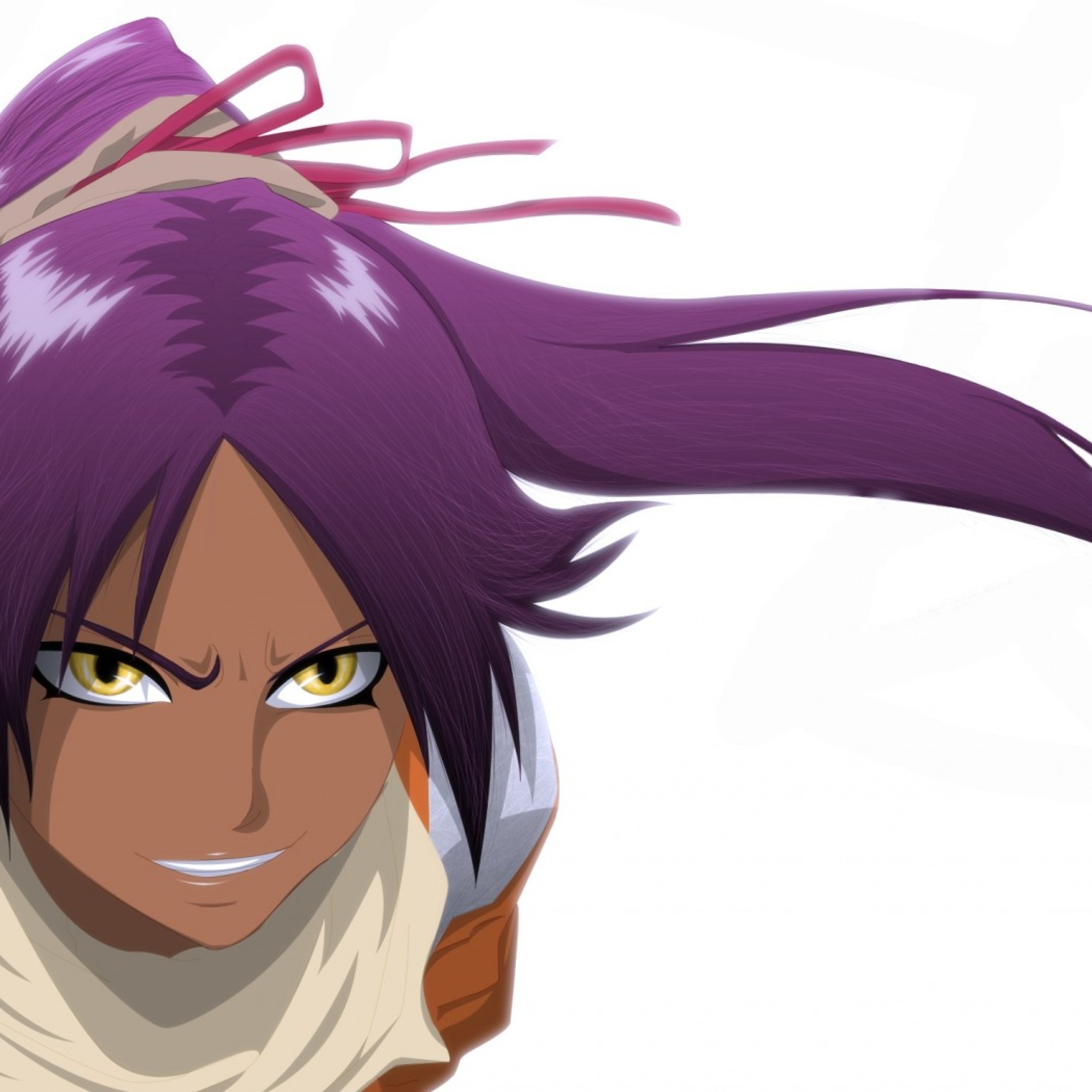 Yoruichi art. Yoruichi Shihouin. Йоруичи банкай. Йоруичи Шихоуин Purple Haze. Йоруичи Шихоуин банкай.