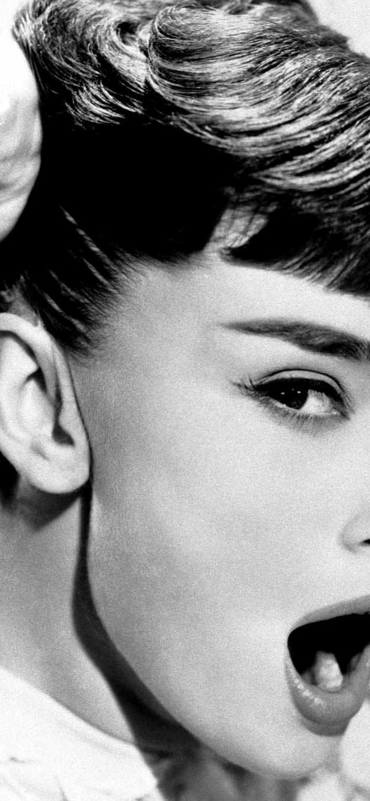 100+] Audrey Hepburn Wallpapers | Wallpapers.com