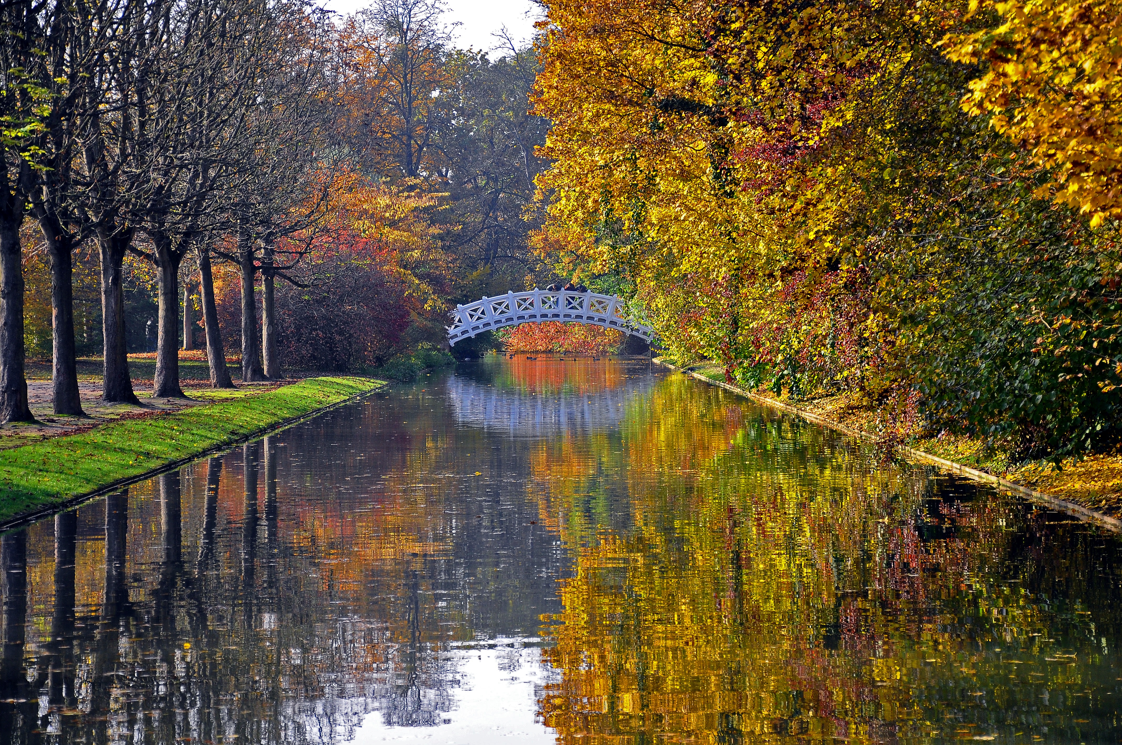 природа мост осень деревья листья река nature the bridge autumn trees leaves river загрузить