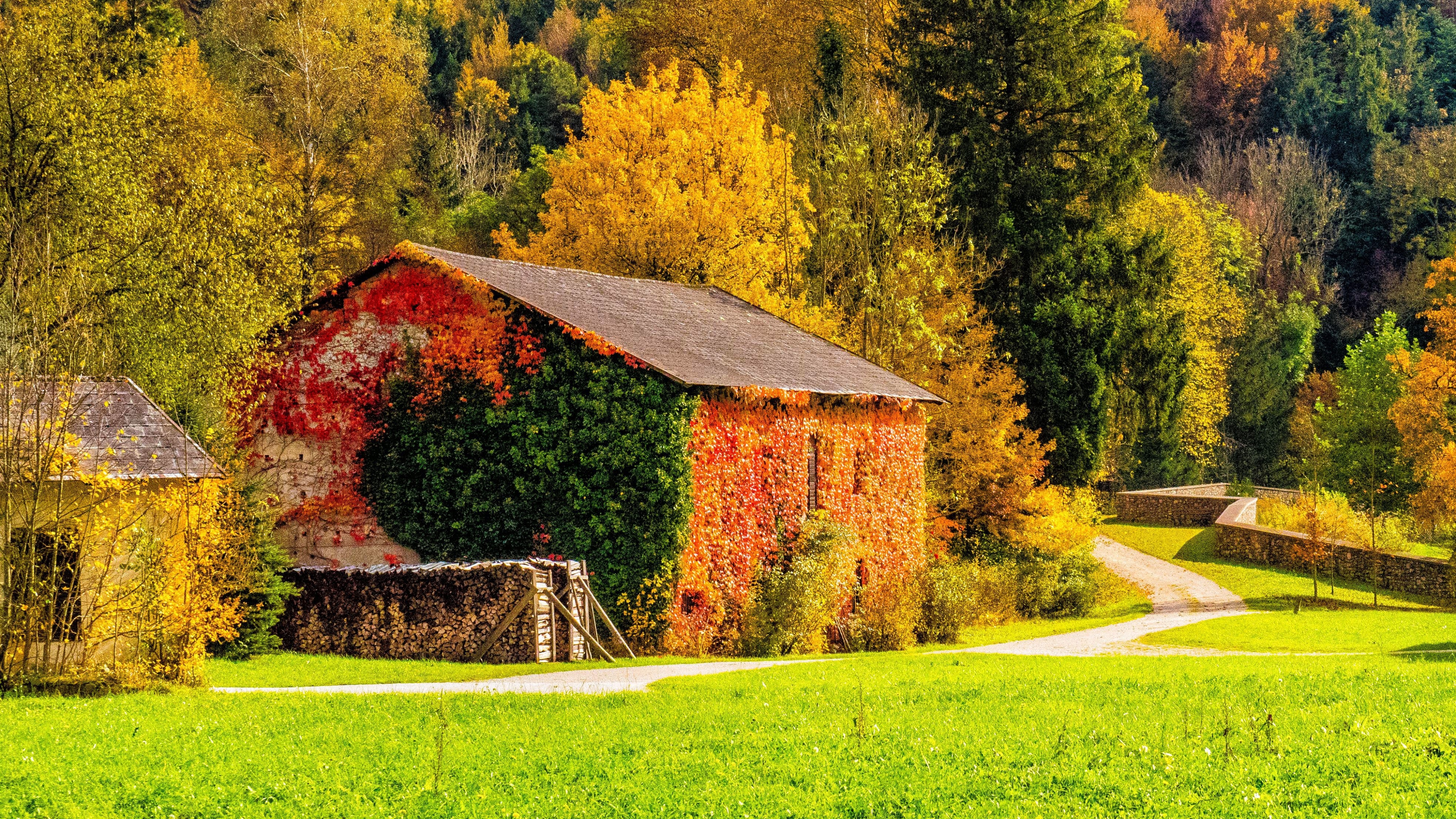Autumn, Building, Grass, HD 4K Wallpaper