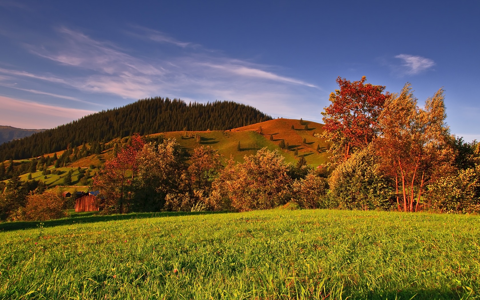 autumn, grass, trees Wallpaper, HD Nature 4K Wallpapers, Images, Photos