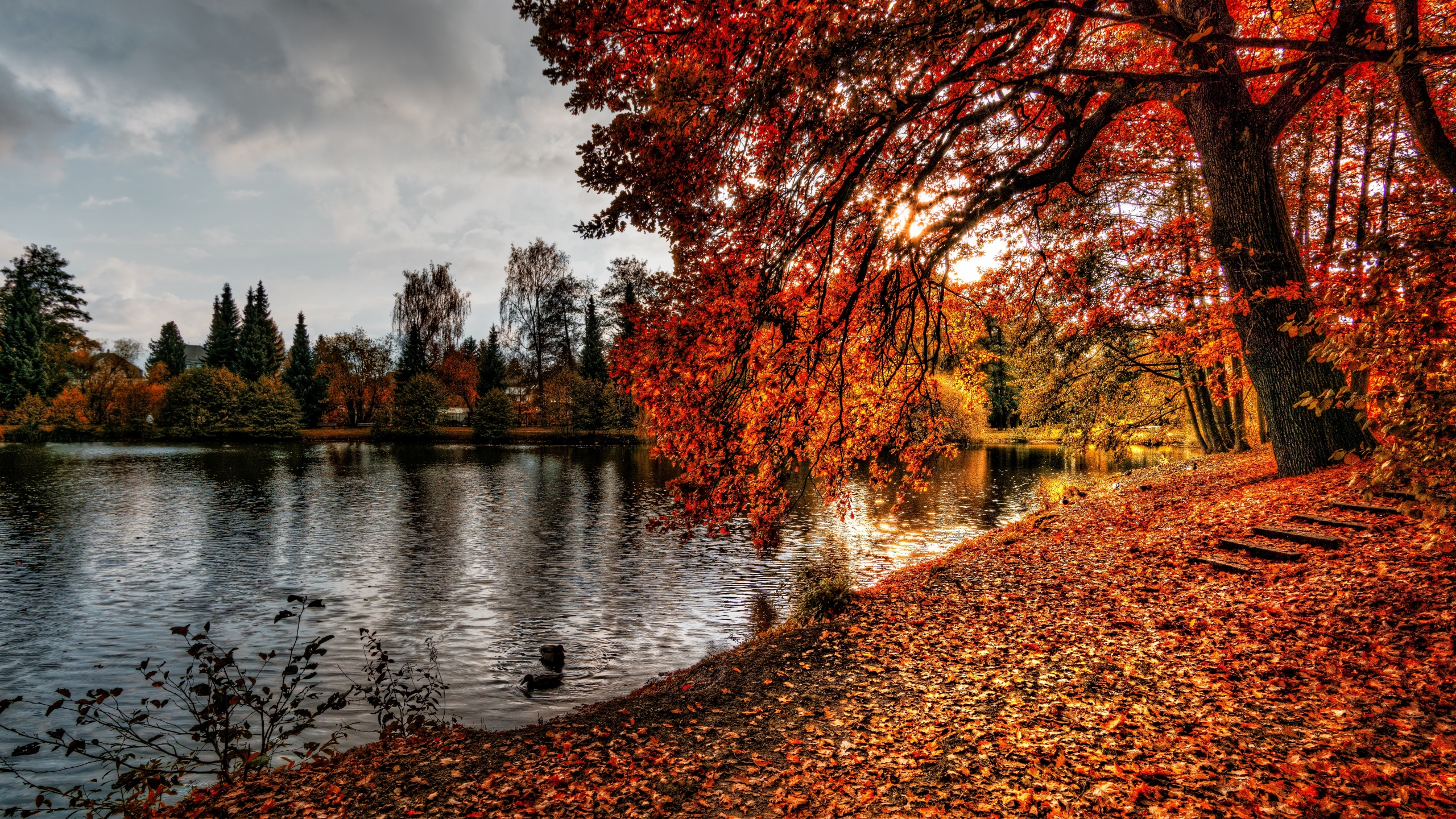 2560x1440 autumn, park, foliage 1440P Resolution Wallpaper, HD Nature