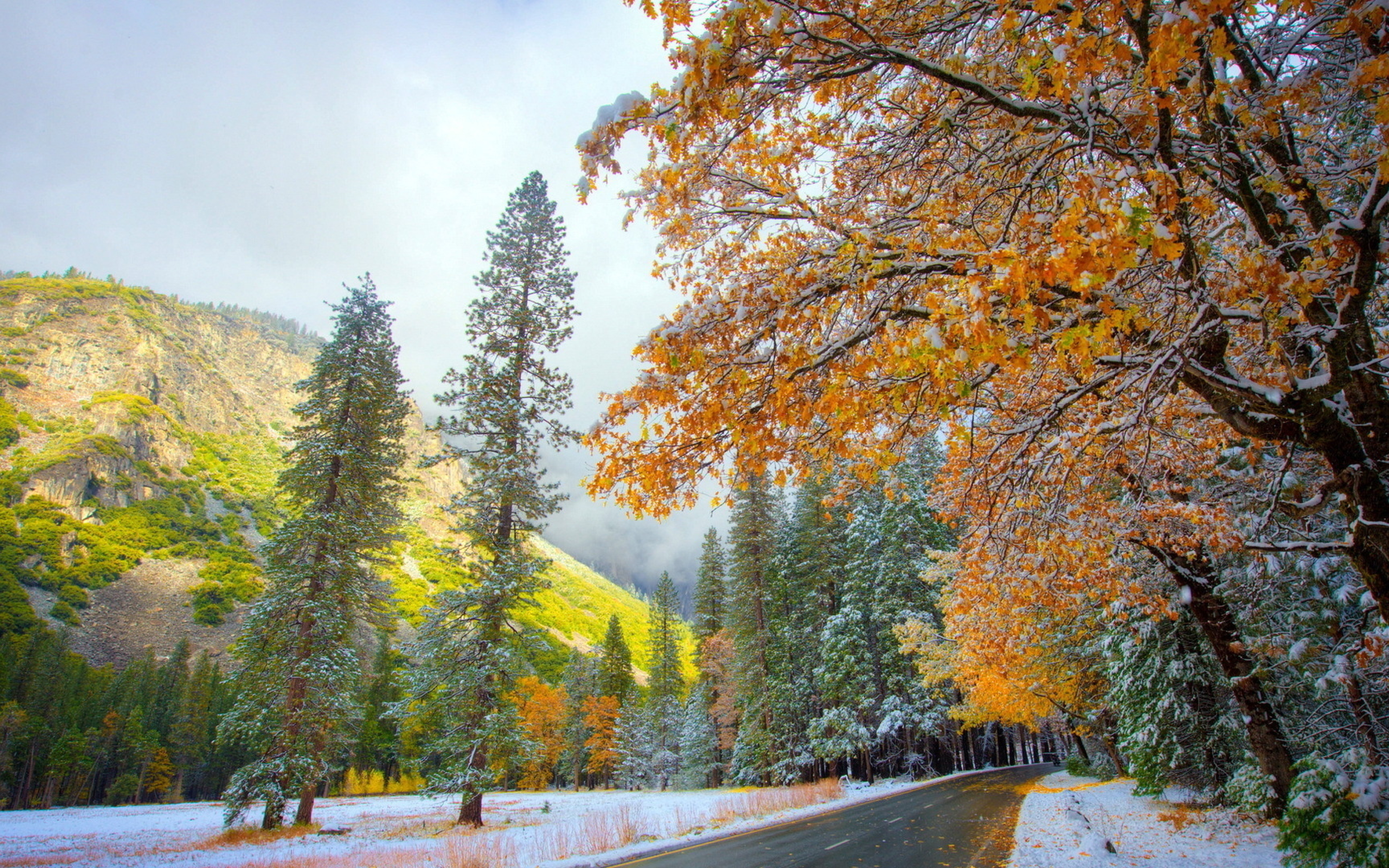 Красивые картинки первый. Ранняя зима. Снежная осень. Пейзаж. Ноябрь природа.