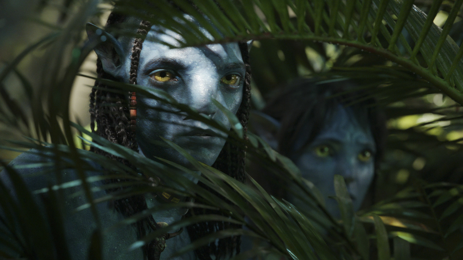Avatar 2022 Movie Wallpaper, HD Movies 4K Wallpapers, Images, Photos and  Background - Wallpapers Den
