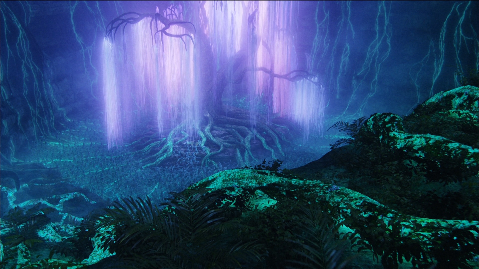 Avatar Background For Zoom Wallpaper, HD Movies 4K Wallpapers, Images,  Photos and Background - Wallpapers Den