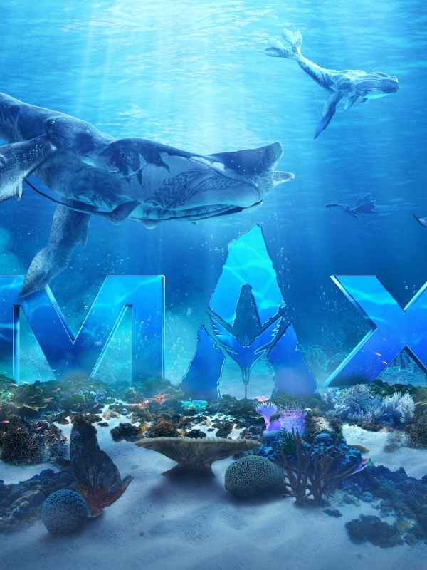 600x800 Avatar The Way of Water HD IMAX Poster 600x800 Resolution