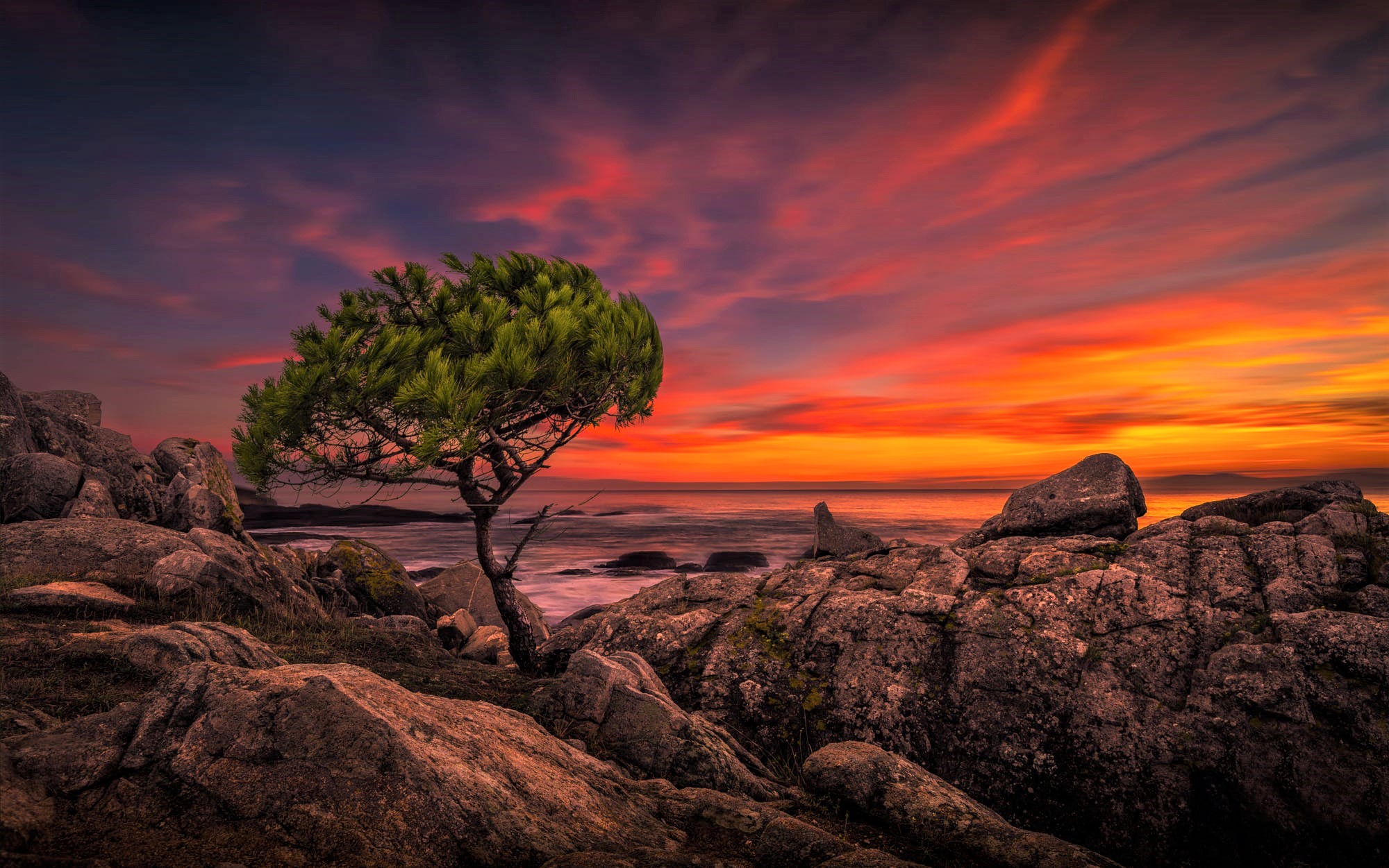 Beautiful Sunset In Horizon Ocean Wallpaper, HD Nature 4K Wallpapers