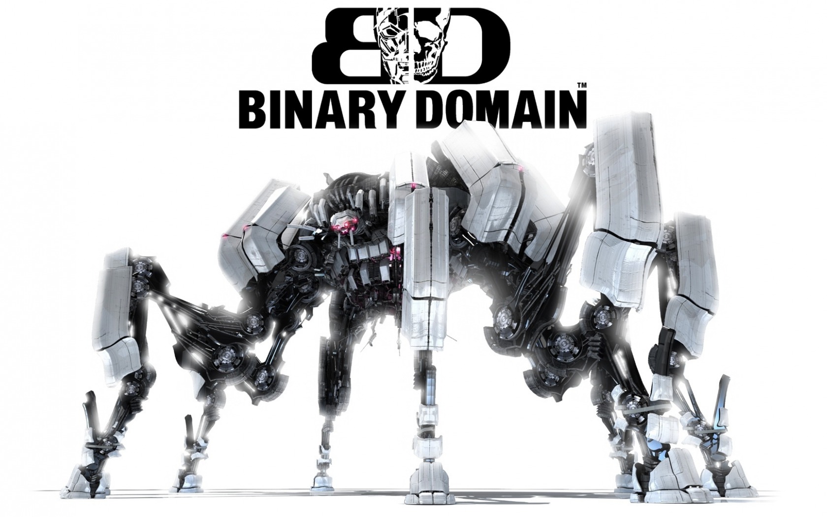 Binary domain no resolution options