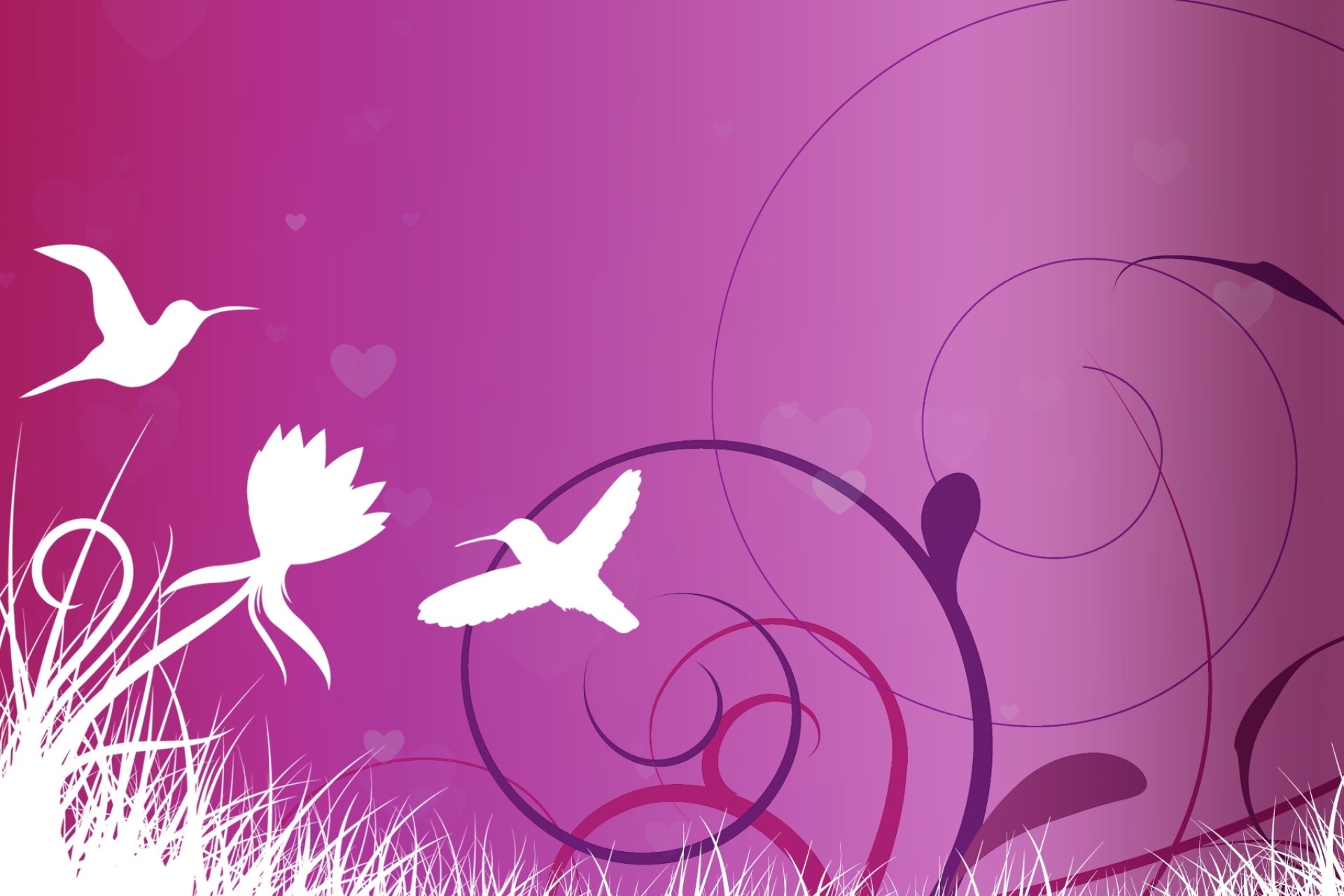 1920x1280 Resolution Bird Flight Patterns 1920x1280 Resolution 1920x1280 resolution bird flight patterns 1920x1280 resolution
