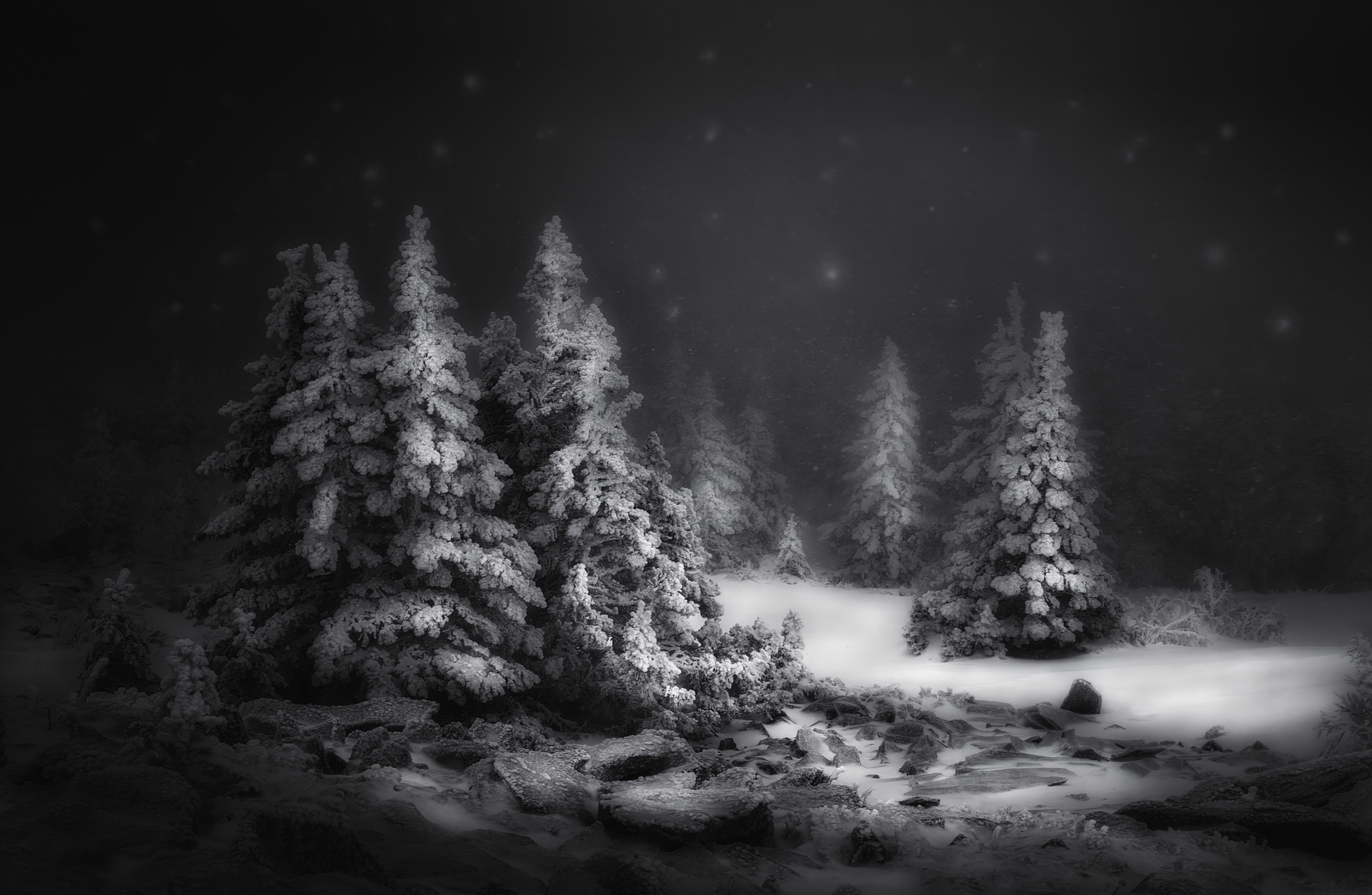 Black & White Snow Winter Night Wallpaper, HD Nature 4K Wallpapers, Images,  Photos and Background - Wallpapers Den