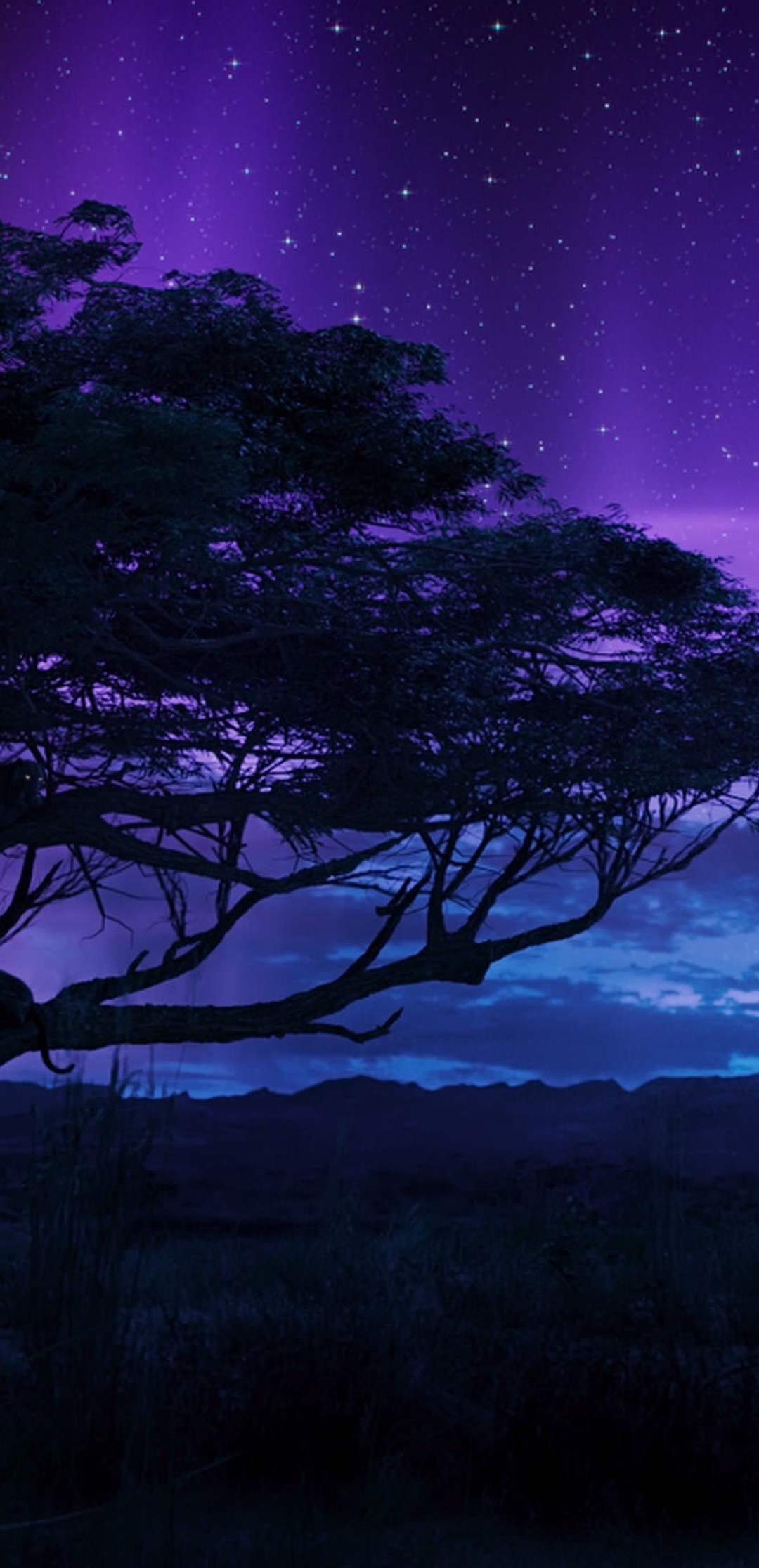 1080x2232 Black Panther Chadwick Boseman In Field With Panthers 1080x2232 Resolution Wallpaper Hd Movies 4k Wallpapers Images Photos And Background