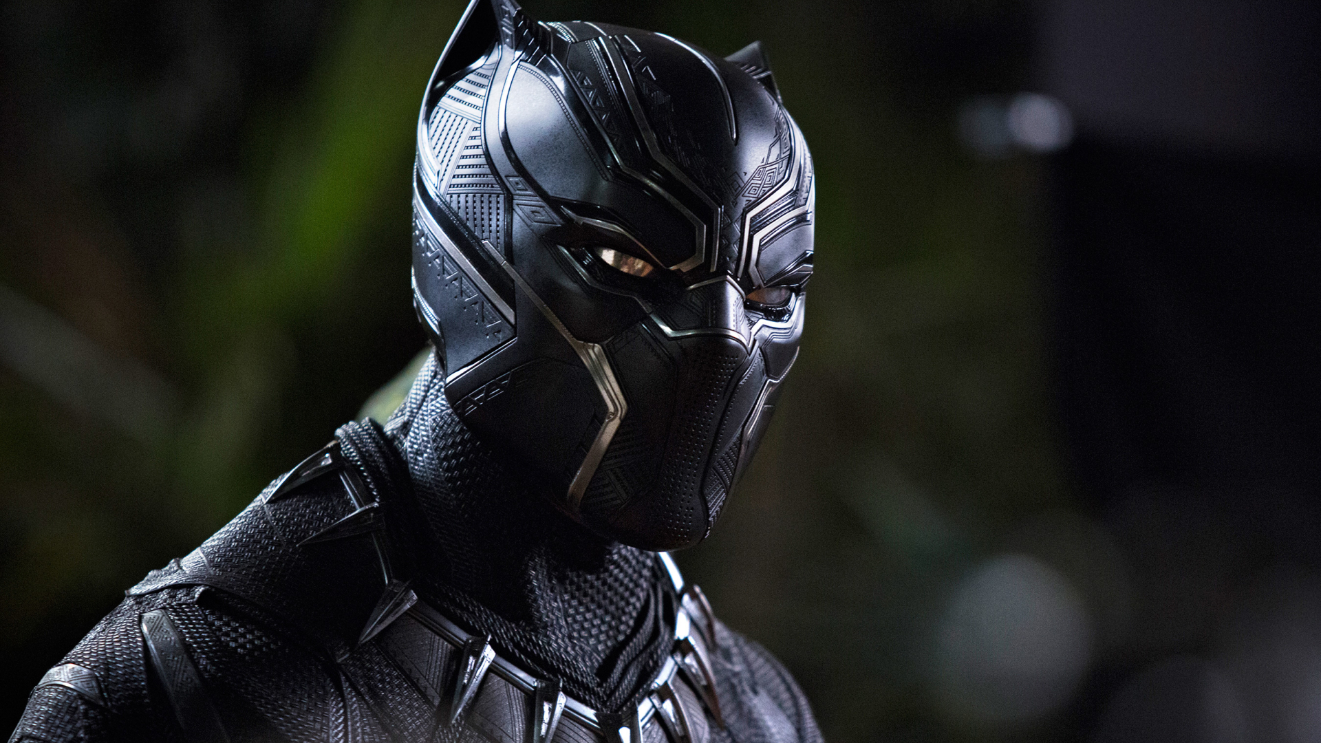 1920x1080 Black Panther Movie 1080P Laptop Full HD Wallpaper, HD Movies 4K  Wallpapers, Images, Photos and Background - Wallpapers Den