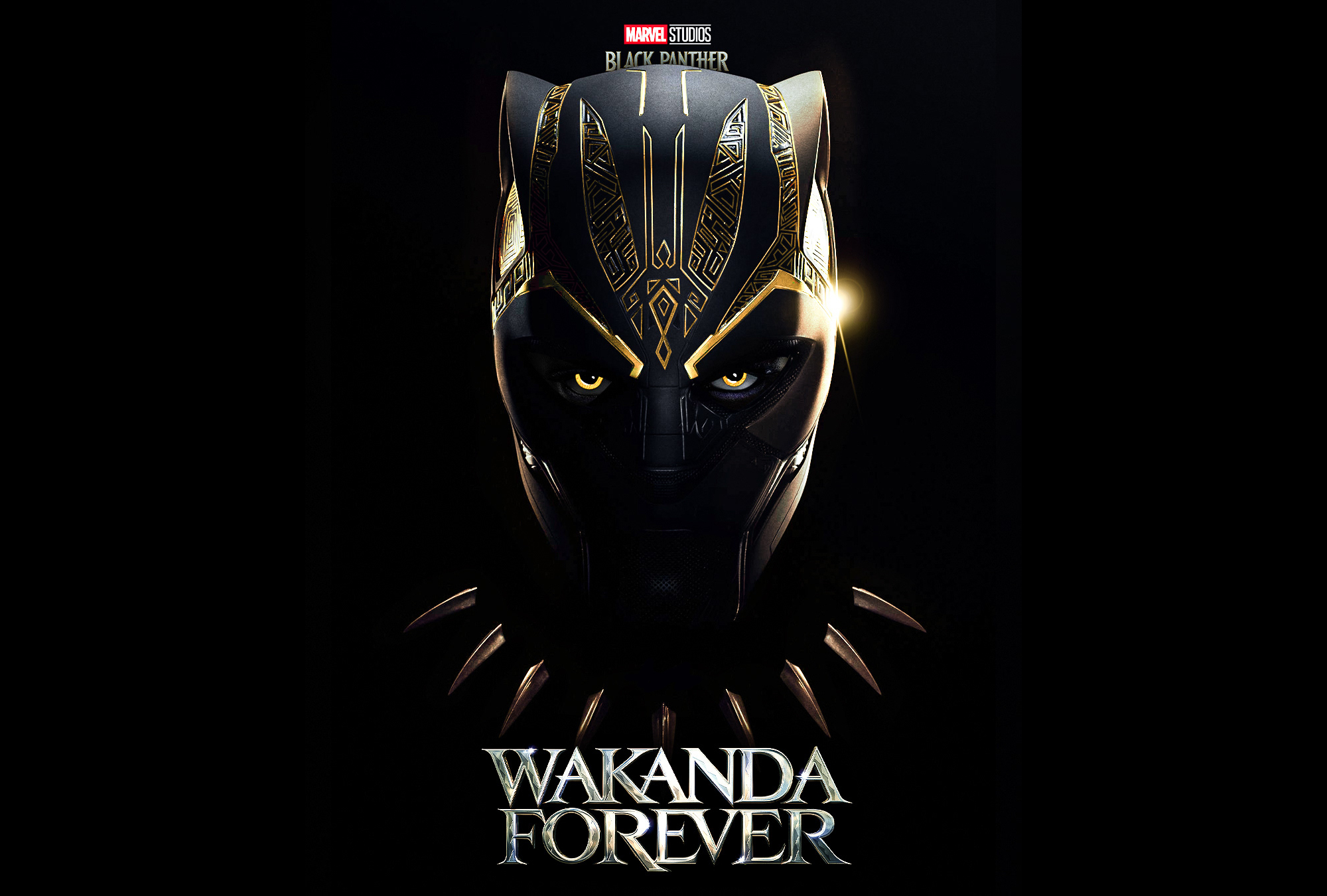 1920x108020194 Black Panther: Wakanda Forever HD Fan Art Poster.