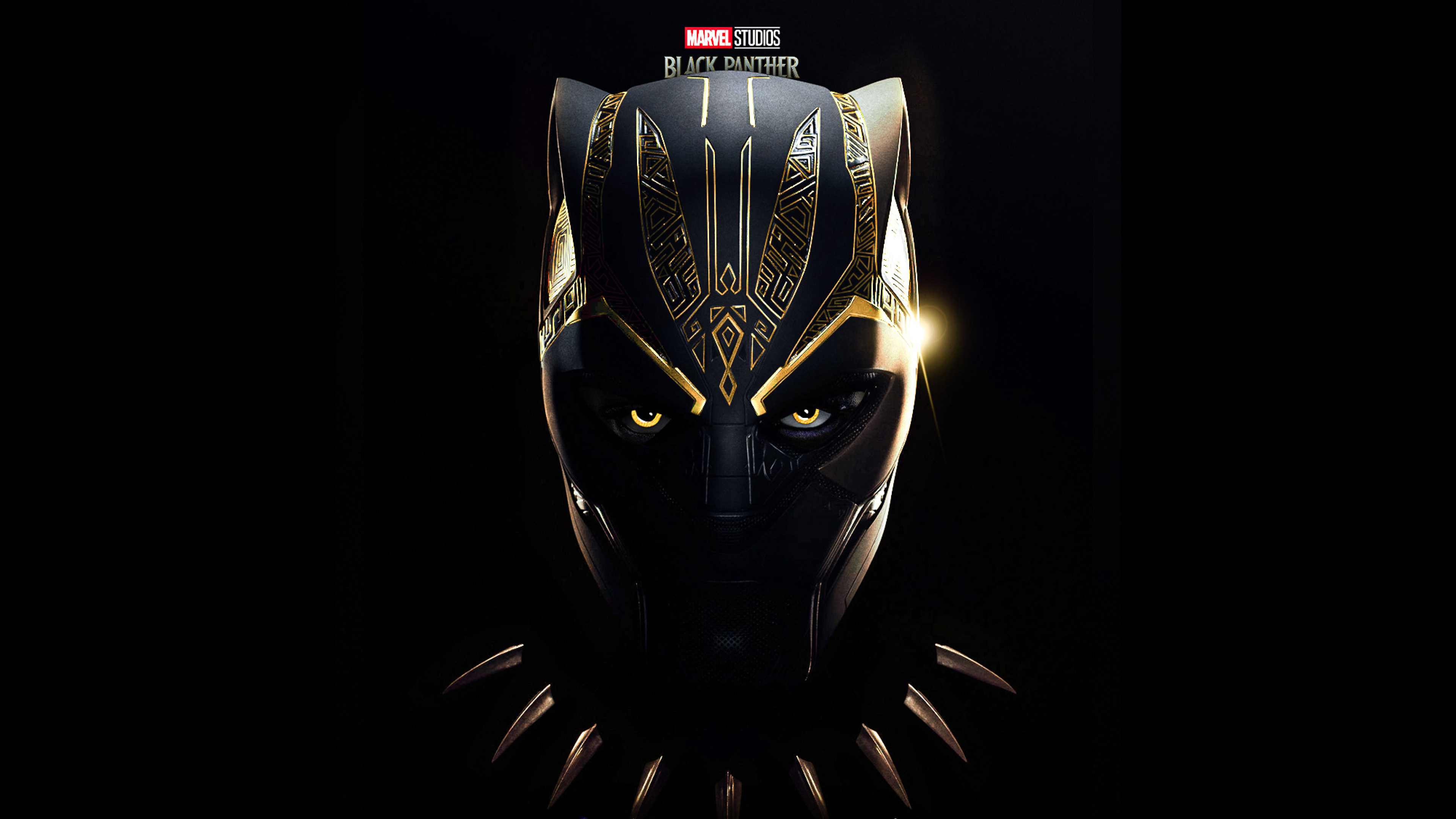 3840x2160 Resolution Black Panther: Wakanda Forever HD Fan Art Poster