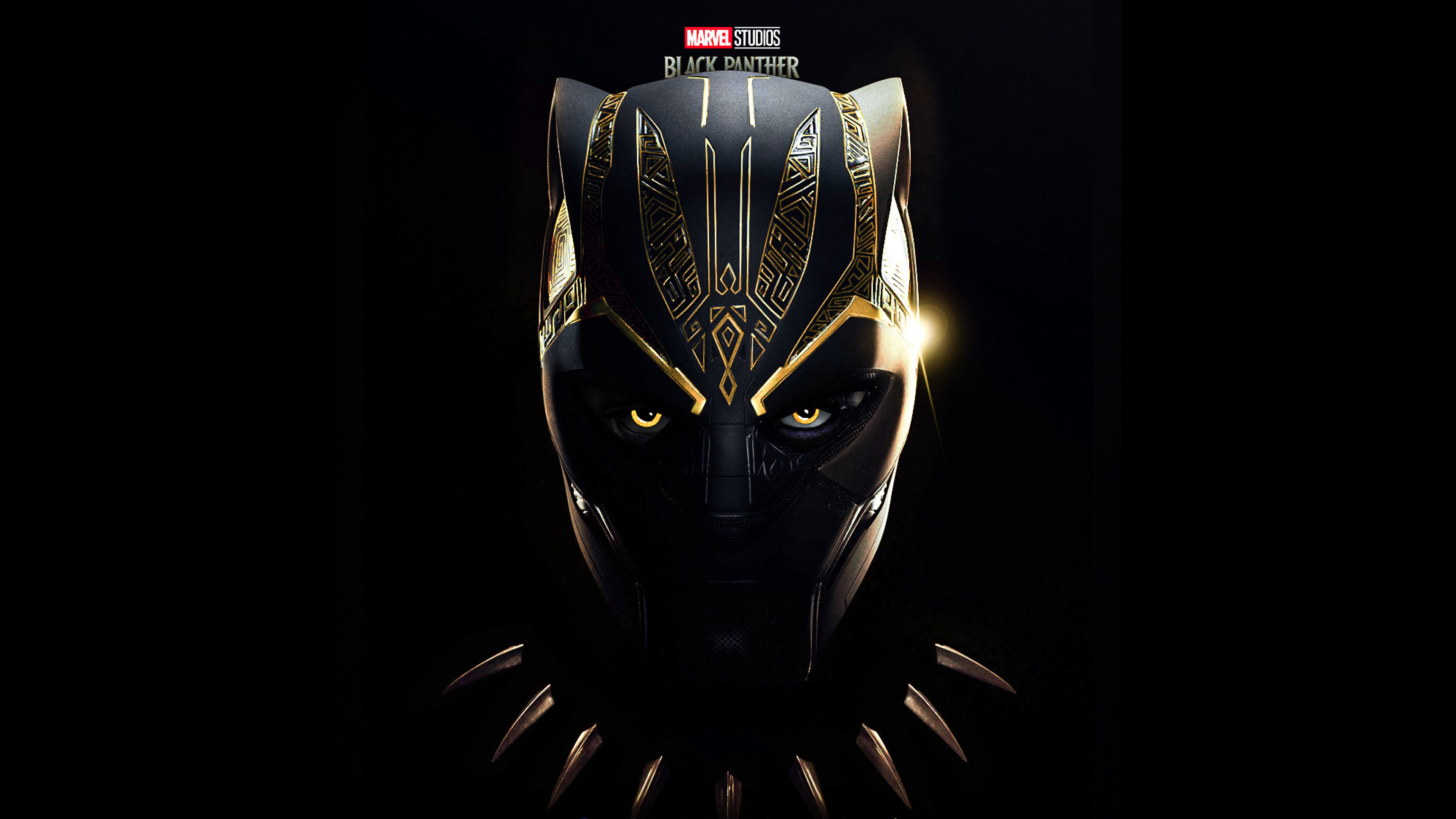 Black panther wakanda forever español