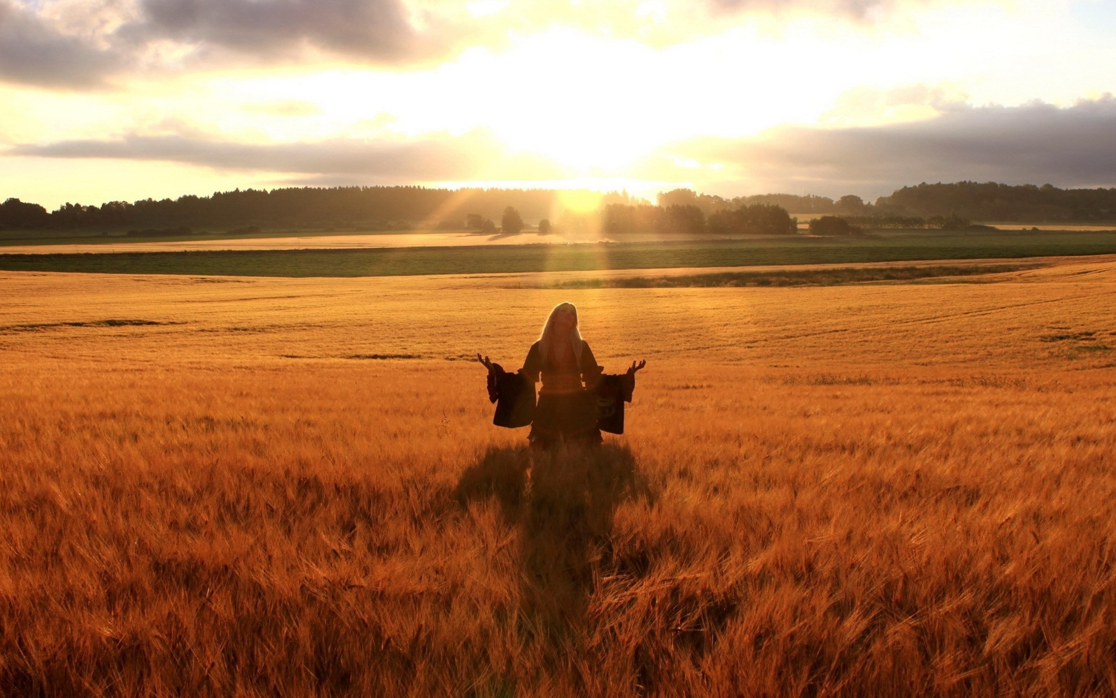 Словно ветер в степи mp3. Девушка в поле. В поле. Поле солнце. Закат в поле.