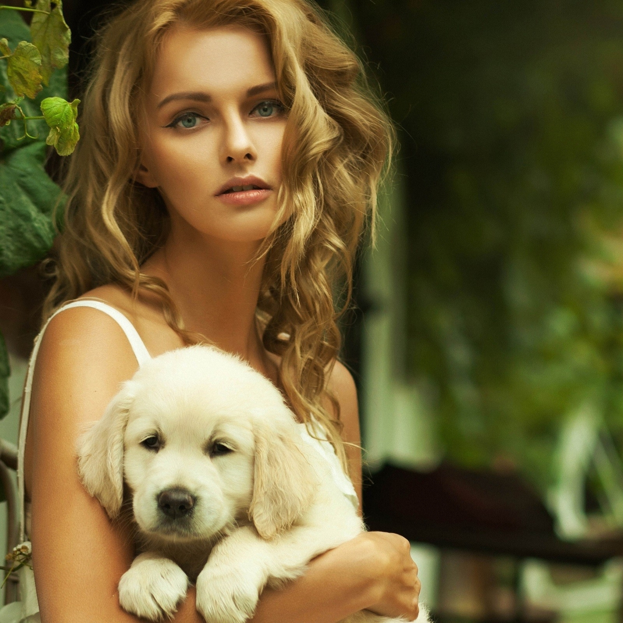 Породистая девушка. Породистые девушки. Фотосессия с животными. Красивые собаки. Породистая женщина.