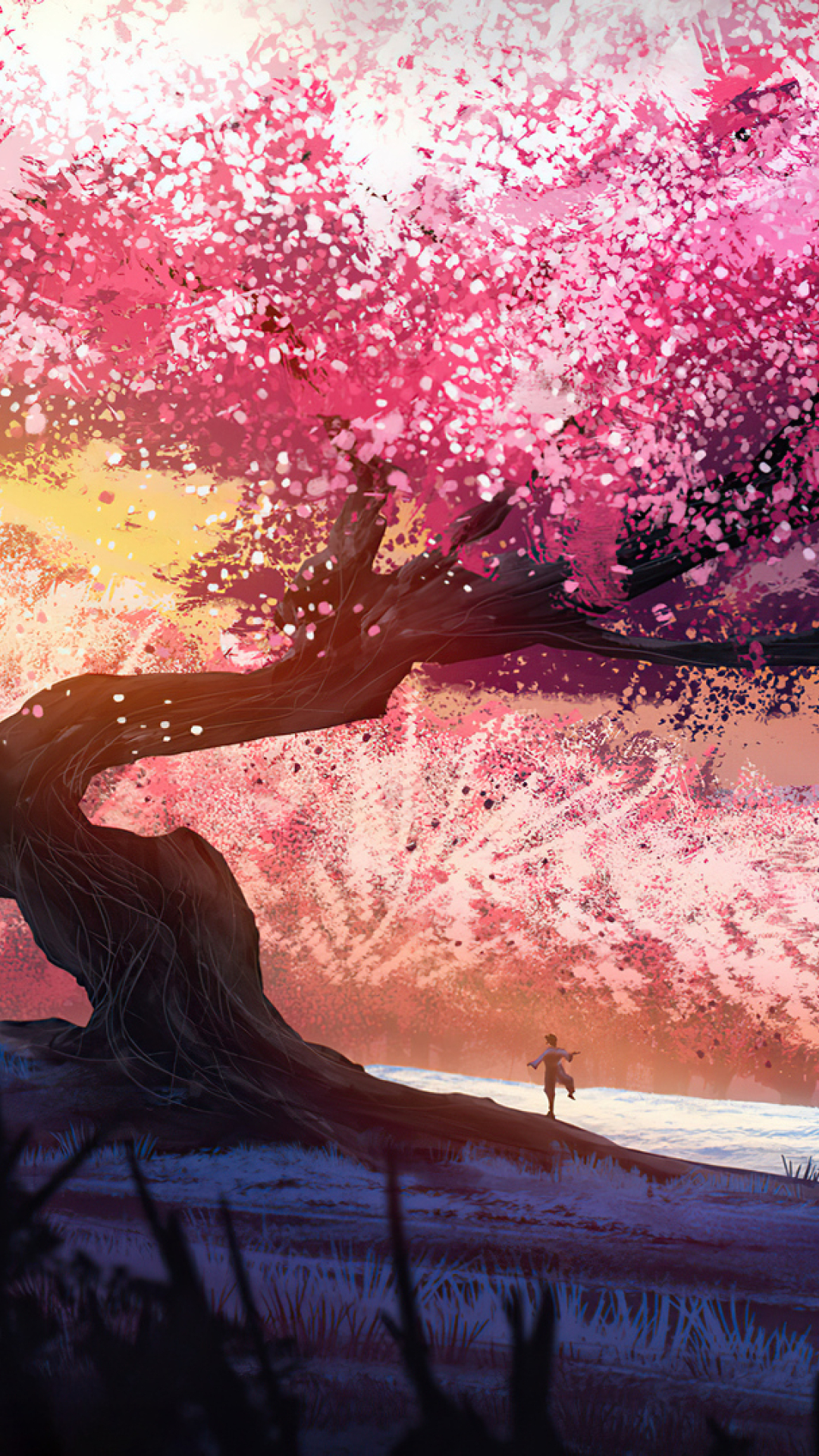 Stunning cherry blossom wallpaper anime for your device wallpaper