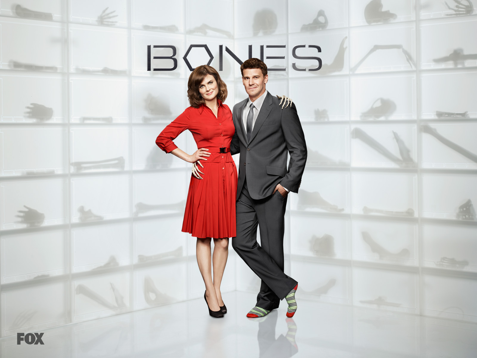 Bones Temperance Brennan Seeley Booth Wallpaper Hd Tv Series 4k Wallpapers Images Photos 