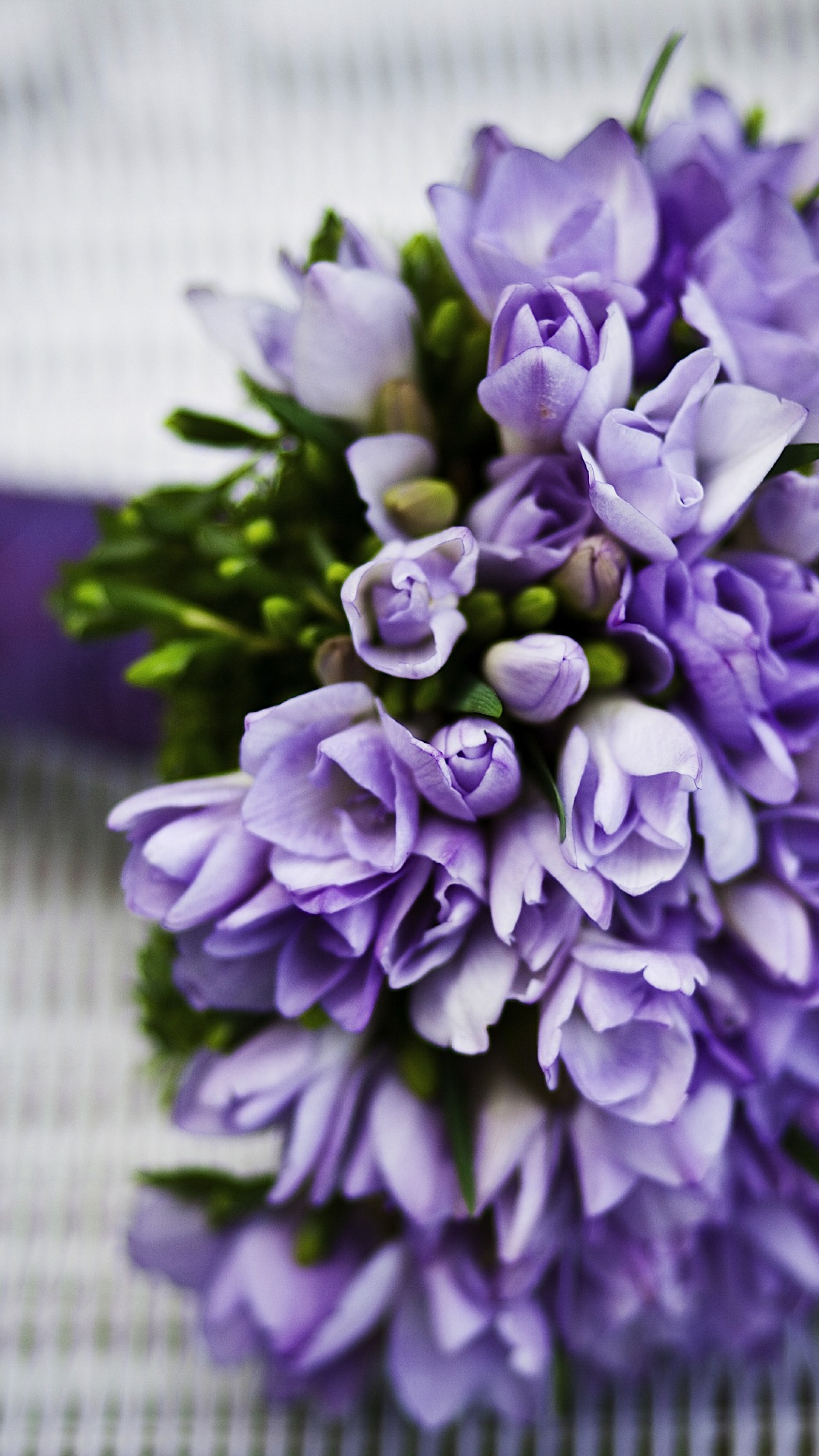 Фиолетовые цветы букет
