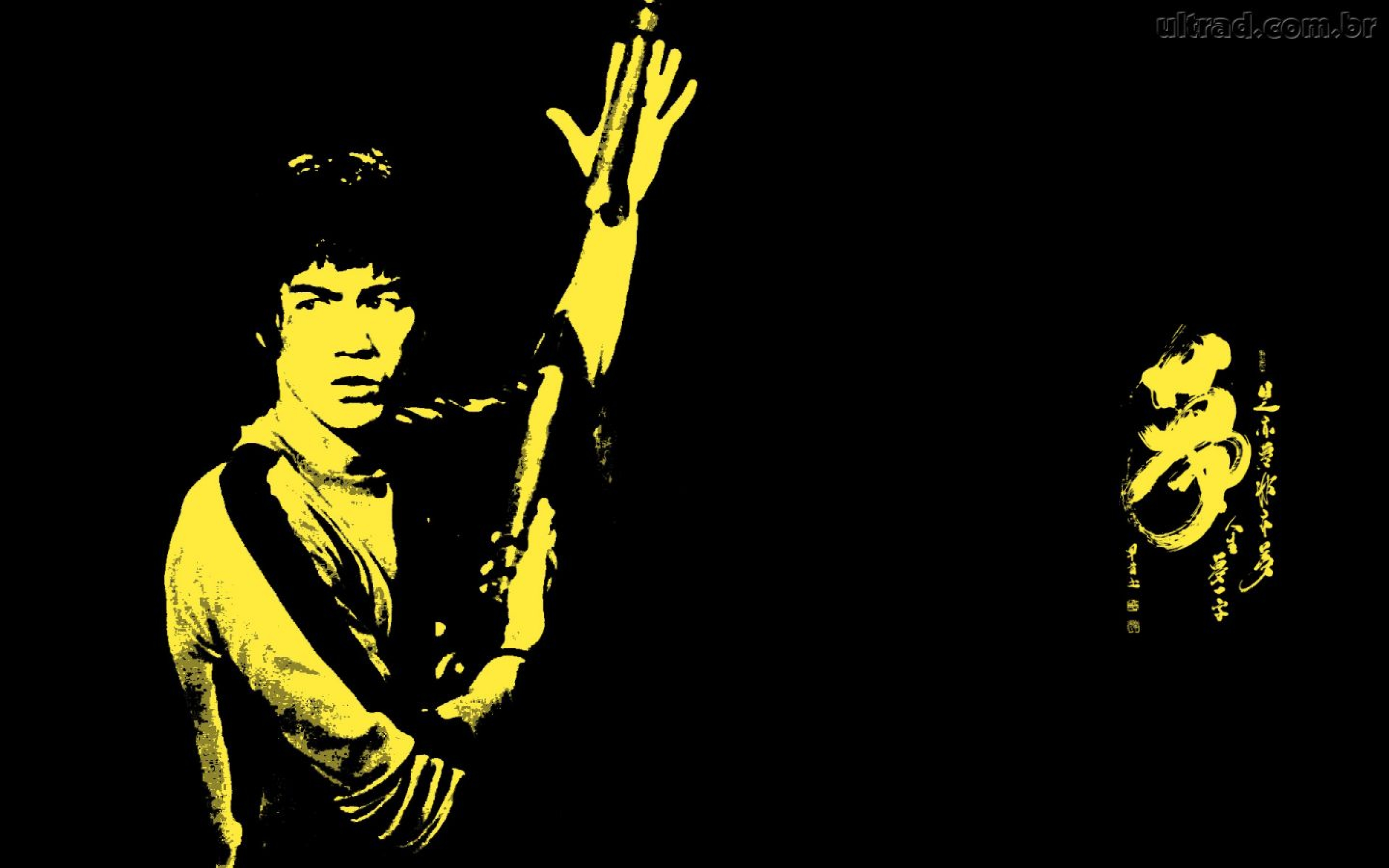 3840x2400 Bruce Lee Abstract Hd Wallpaper Uhd 4k 3840x2400 Resolution