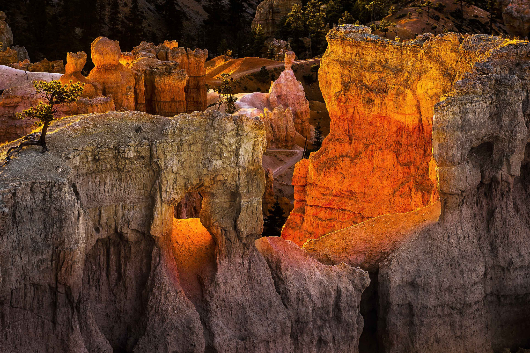 bryce canyon, national park, utah Wallpaper, HD Nature 4K Wallpapers
