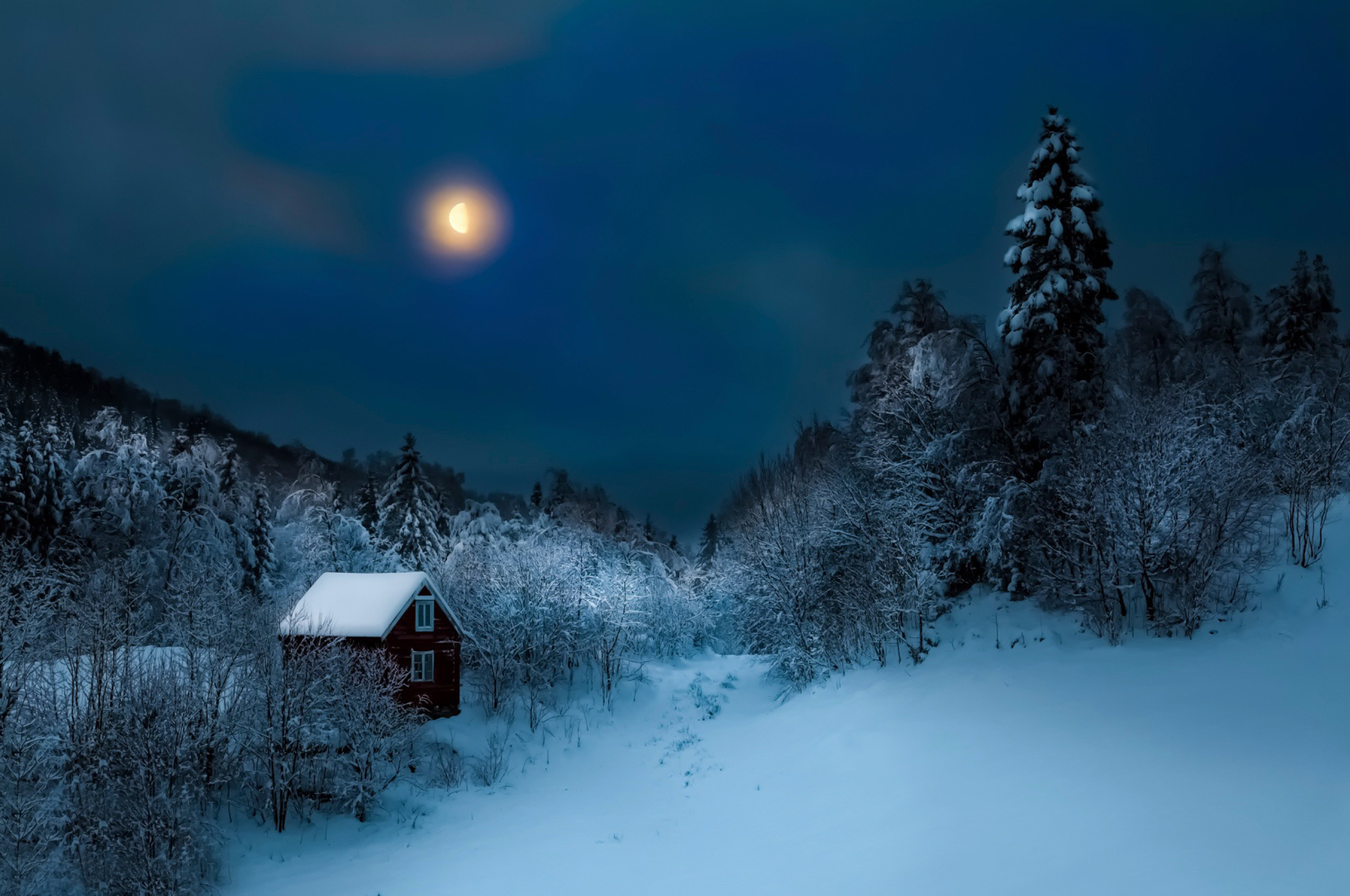 Луна зимой ночью. Зимняя ночь. Ночной зимний лес. Зимний лес ночью. Зимний пейзаж ночью.
