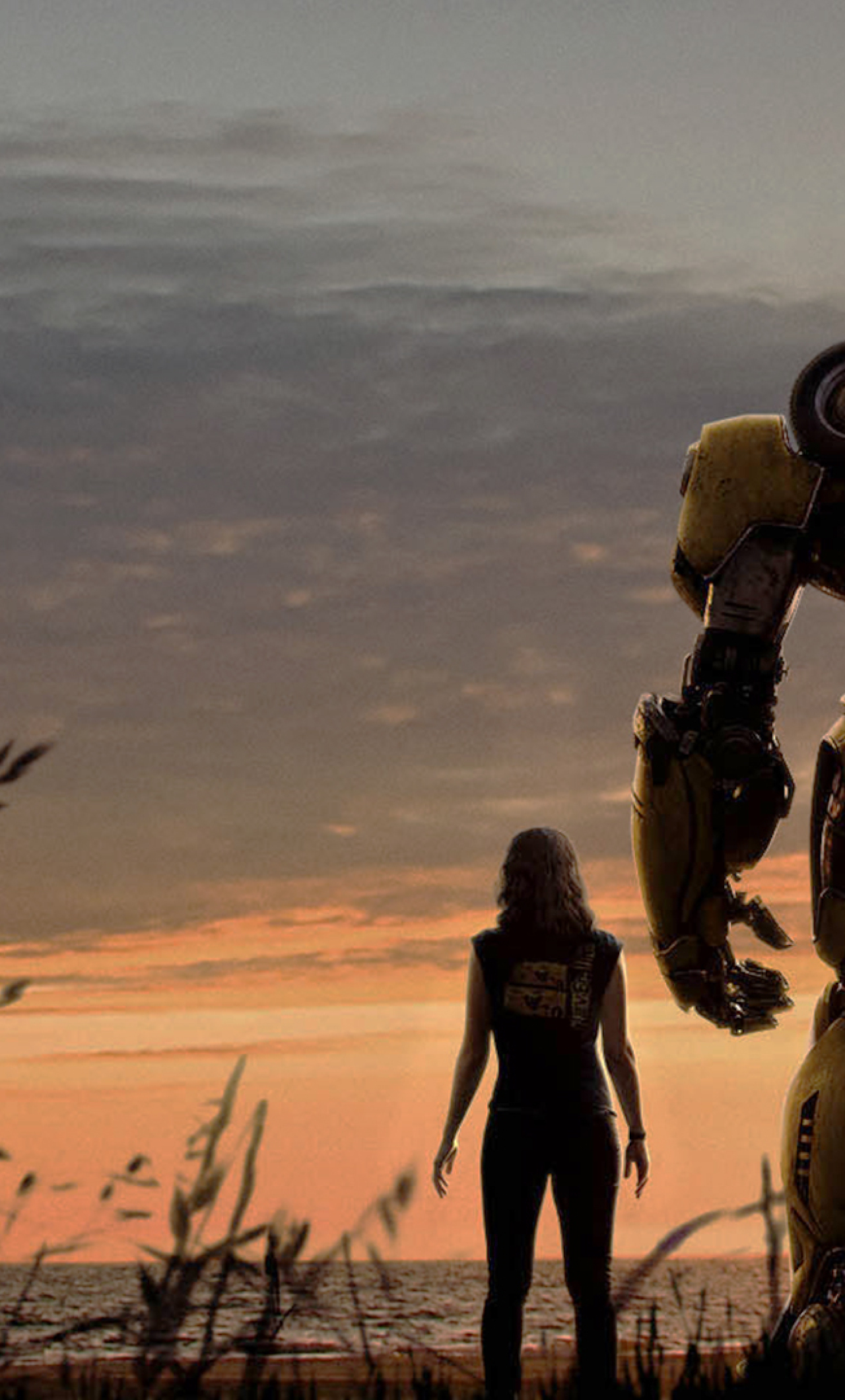 Download Bumblebee 2018 Movie Poster 2160x3840 Resolution, Full HD Wallpaper