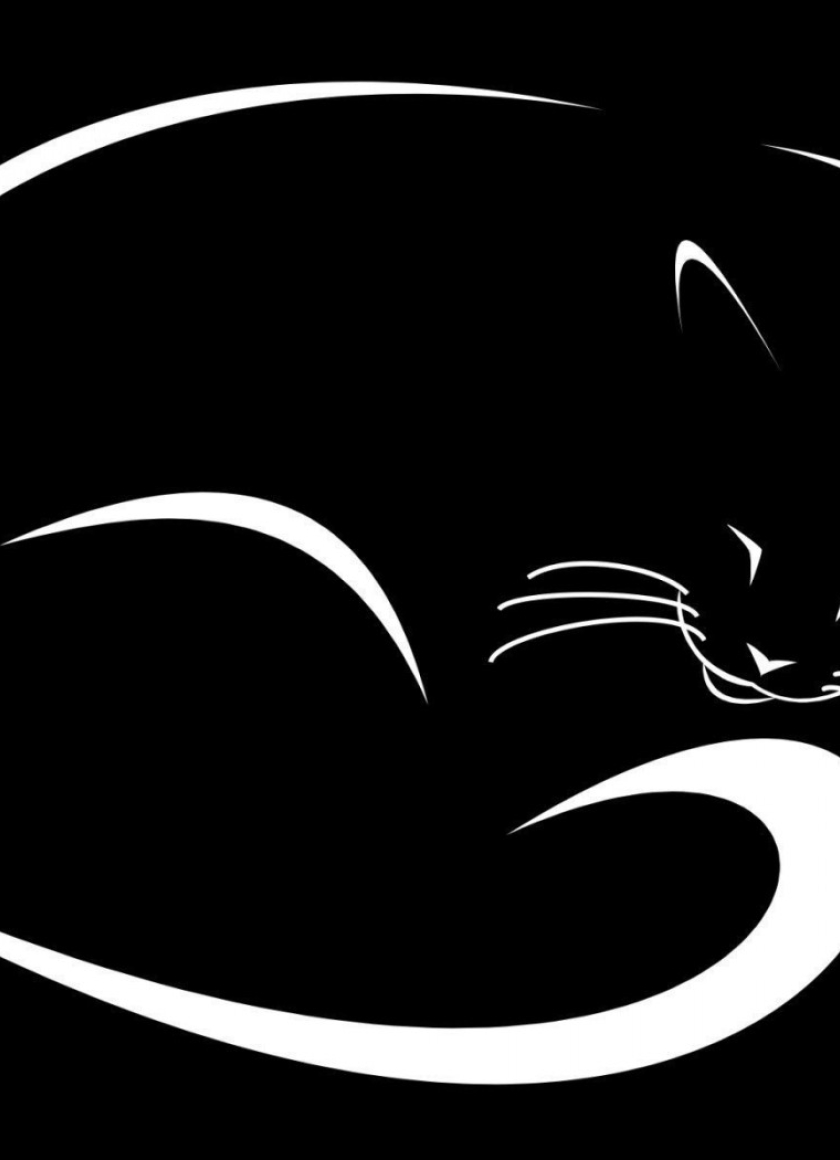 Контуры на черном фоне. Кошка на черном фоне. Рисунки на черном фоне. Черная кошка на черном фоне. Очертание кошки.